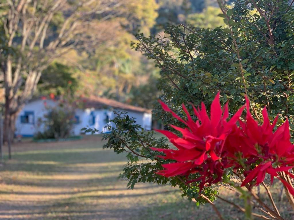 Sítio Lavras do Abade