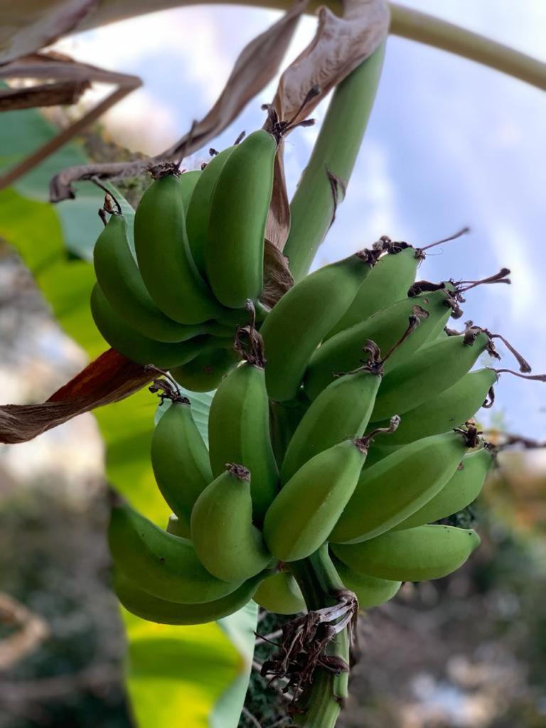 Sítio Lavras do Abade