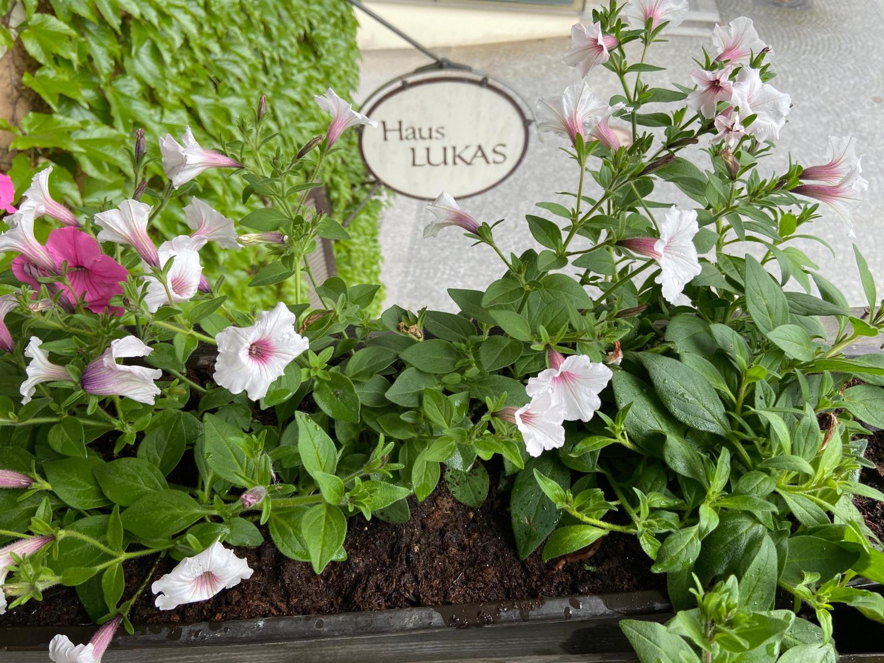 Haus Lukas