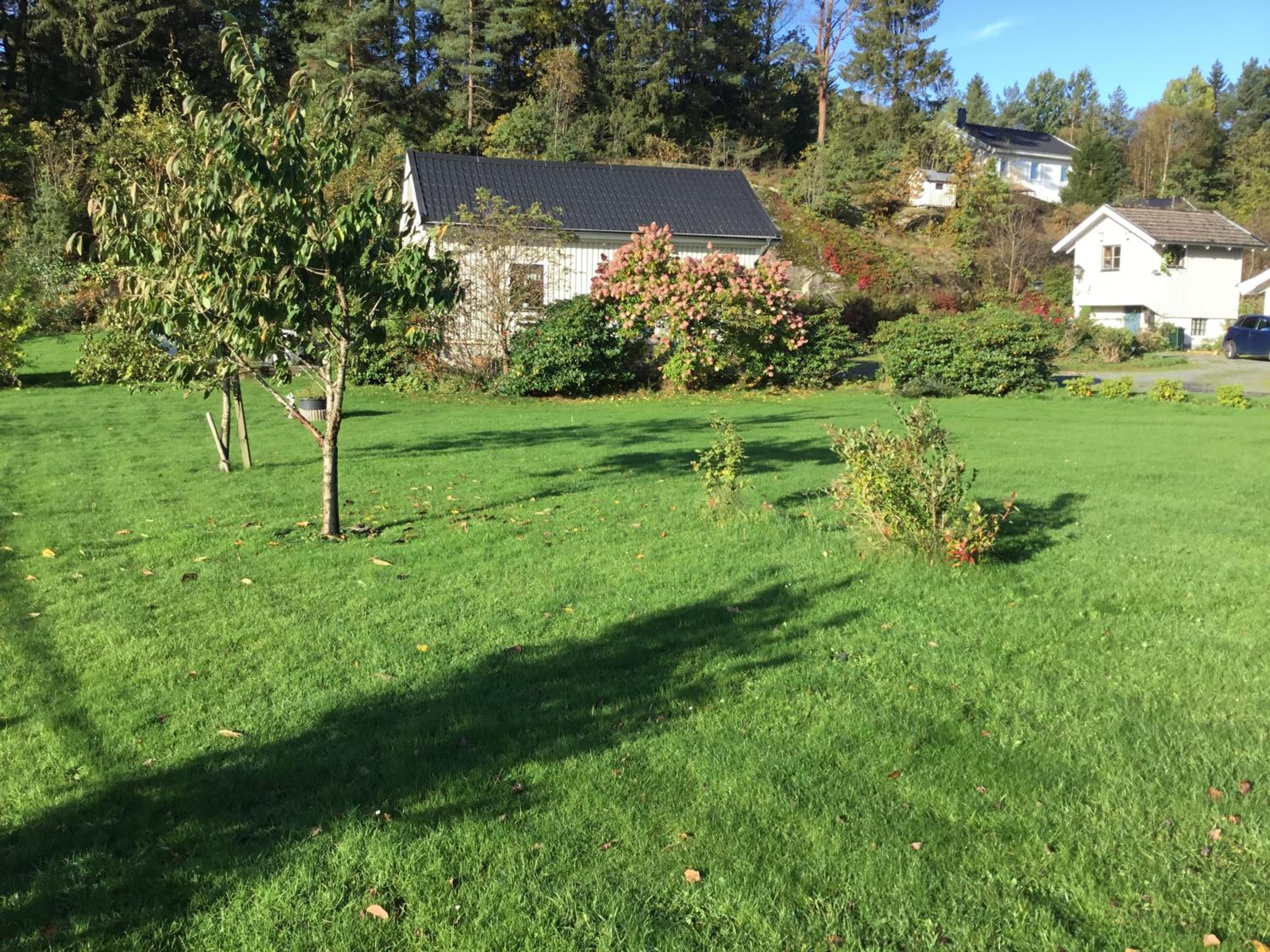 Photo 23