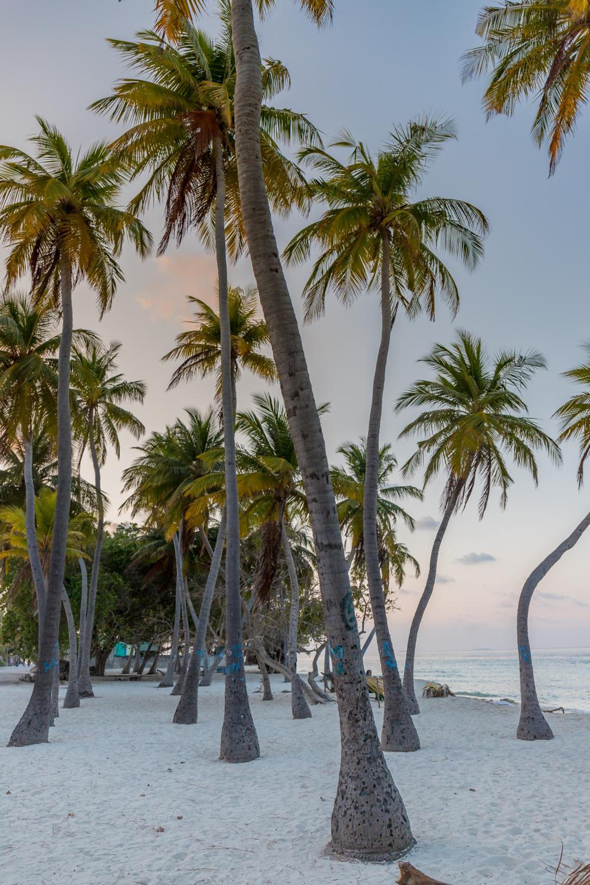Nihaali Maldives