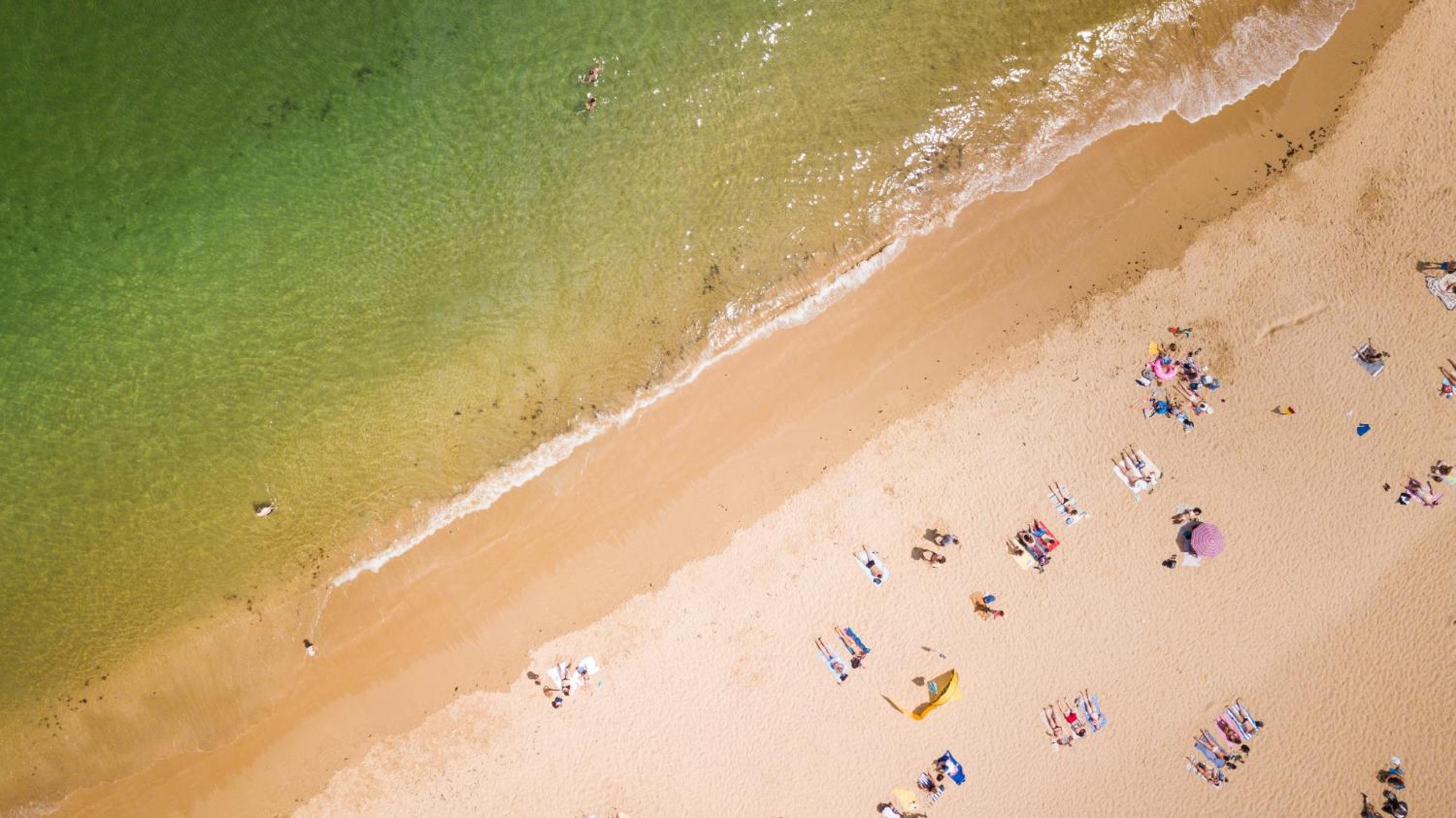 Photo 42