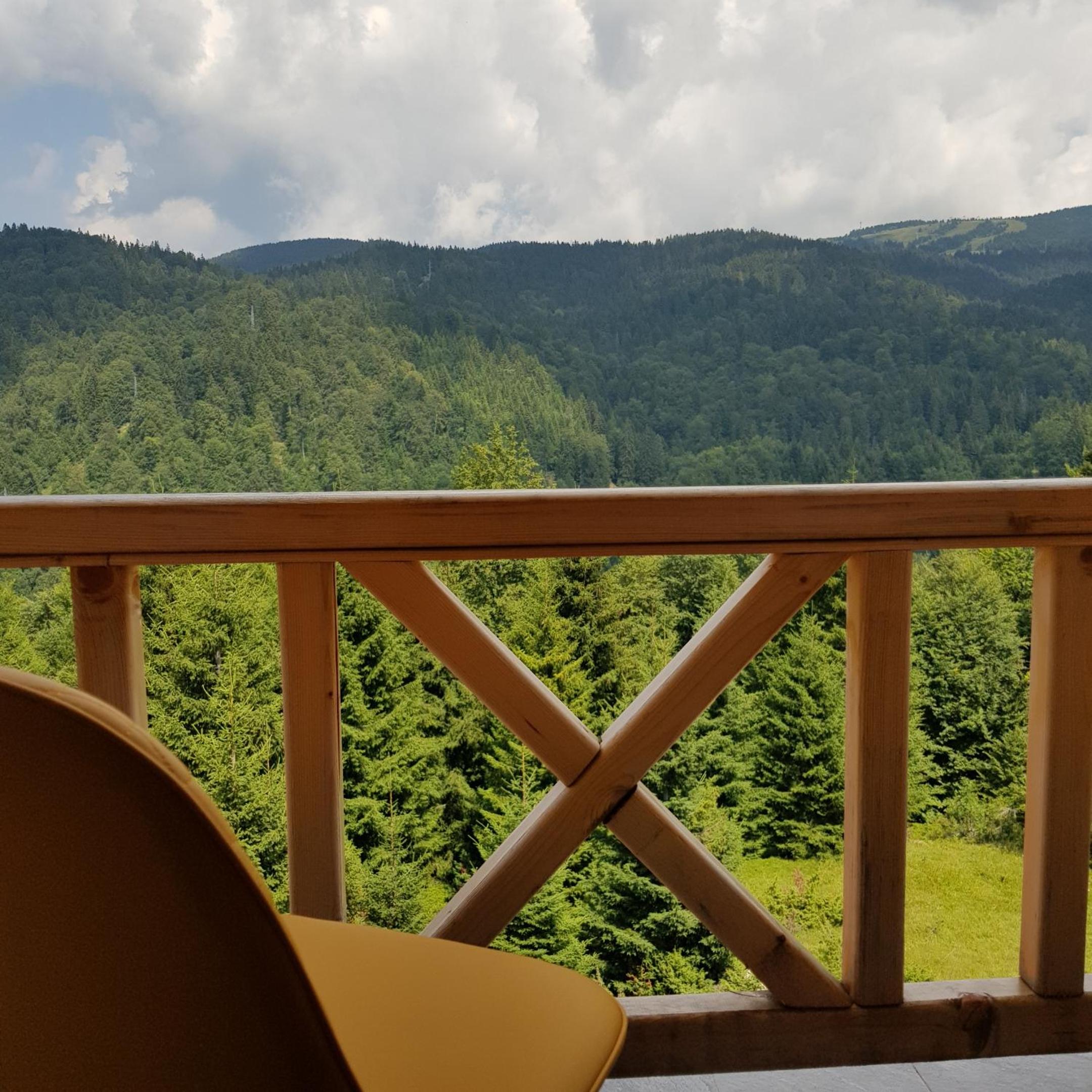 Chalet Vrhovi Kopaonika view 3