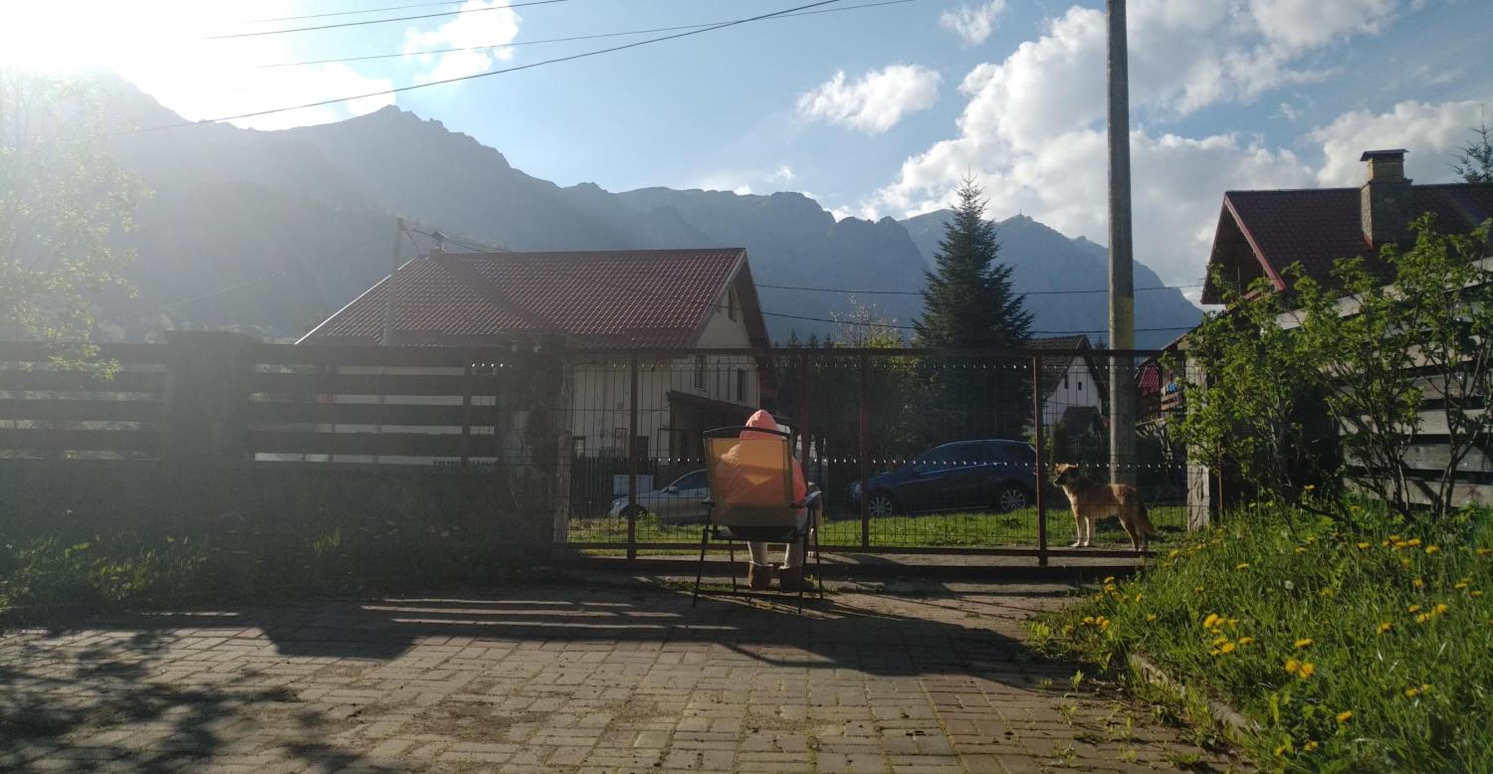 Photo 25