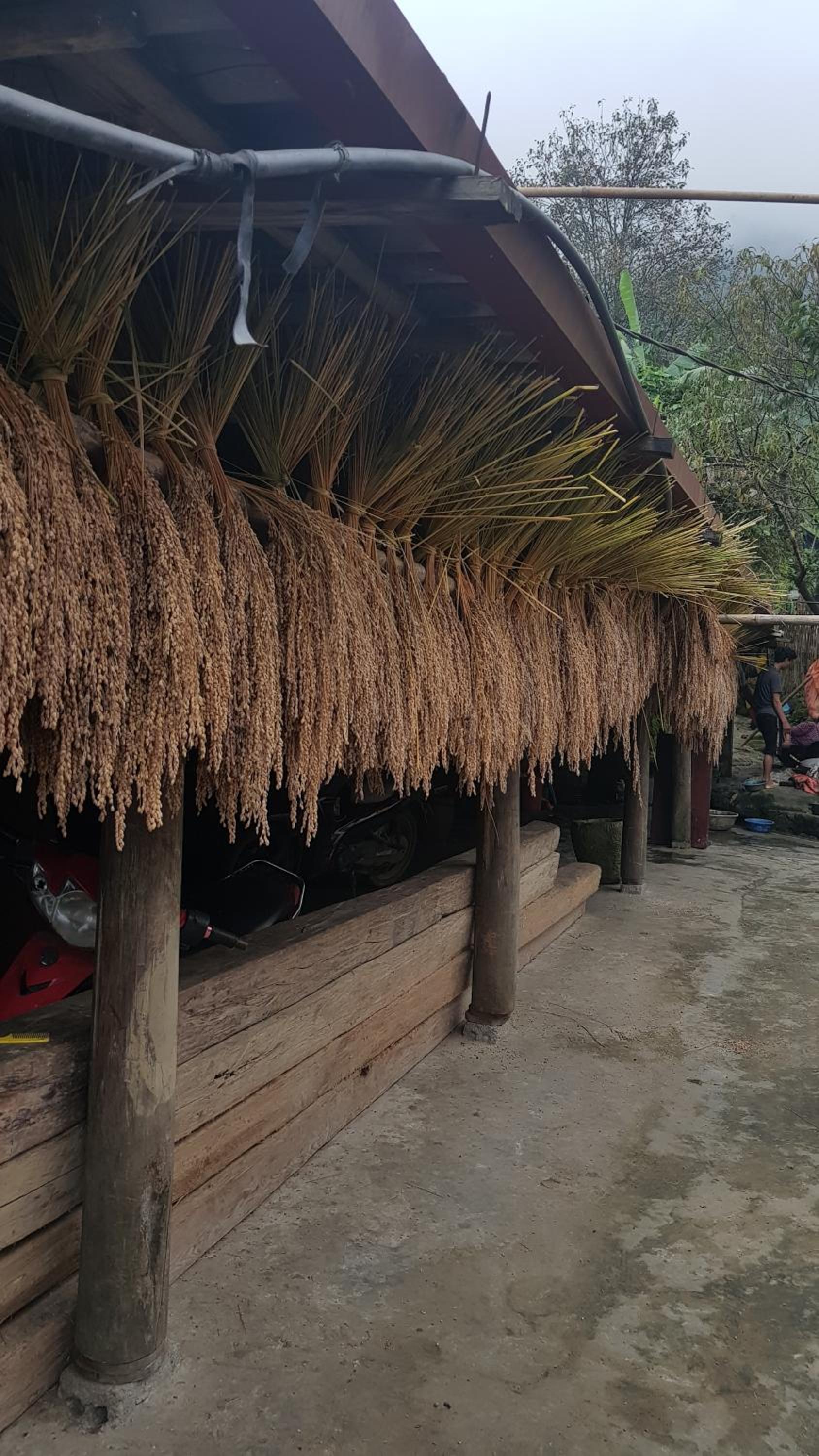 Tavan View Homestay