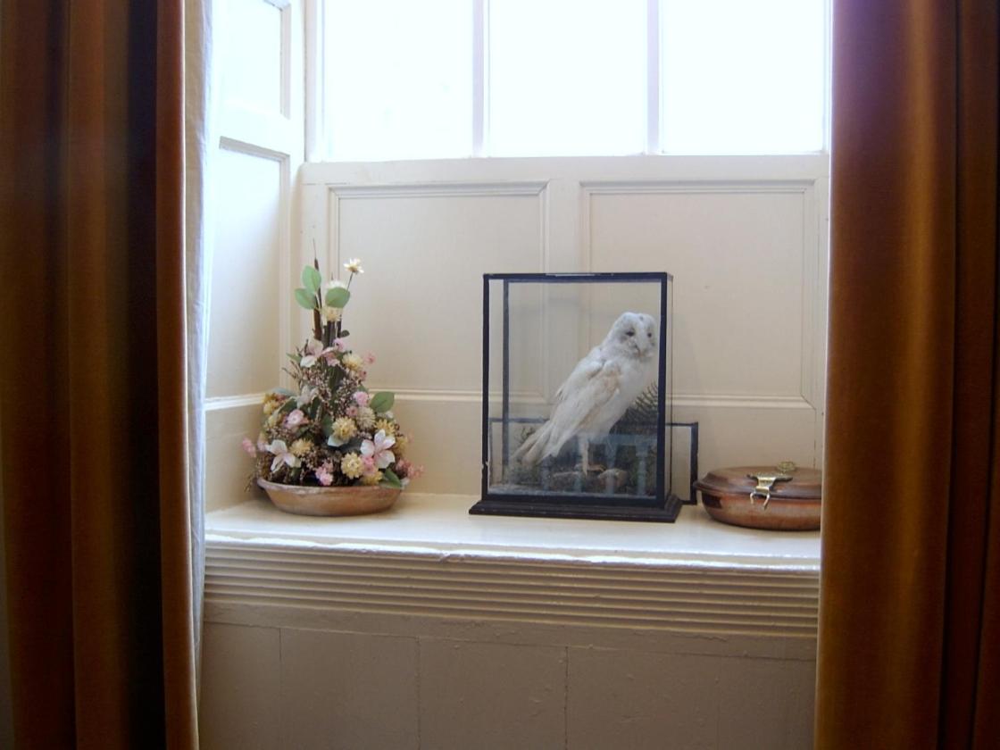Photo 46
