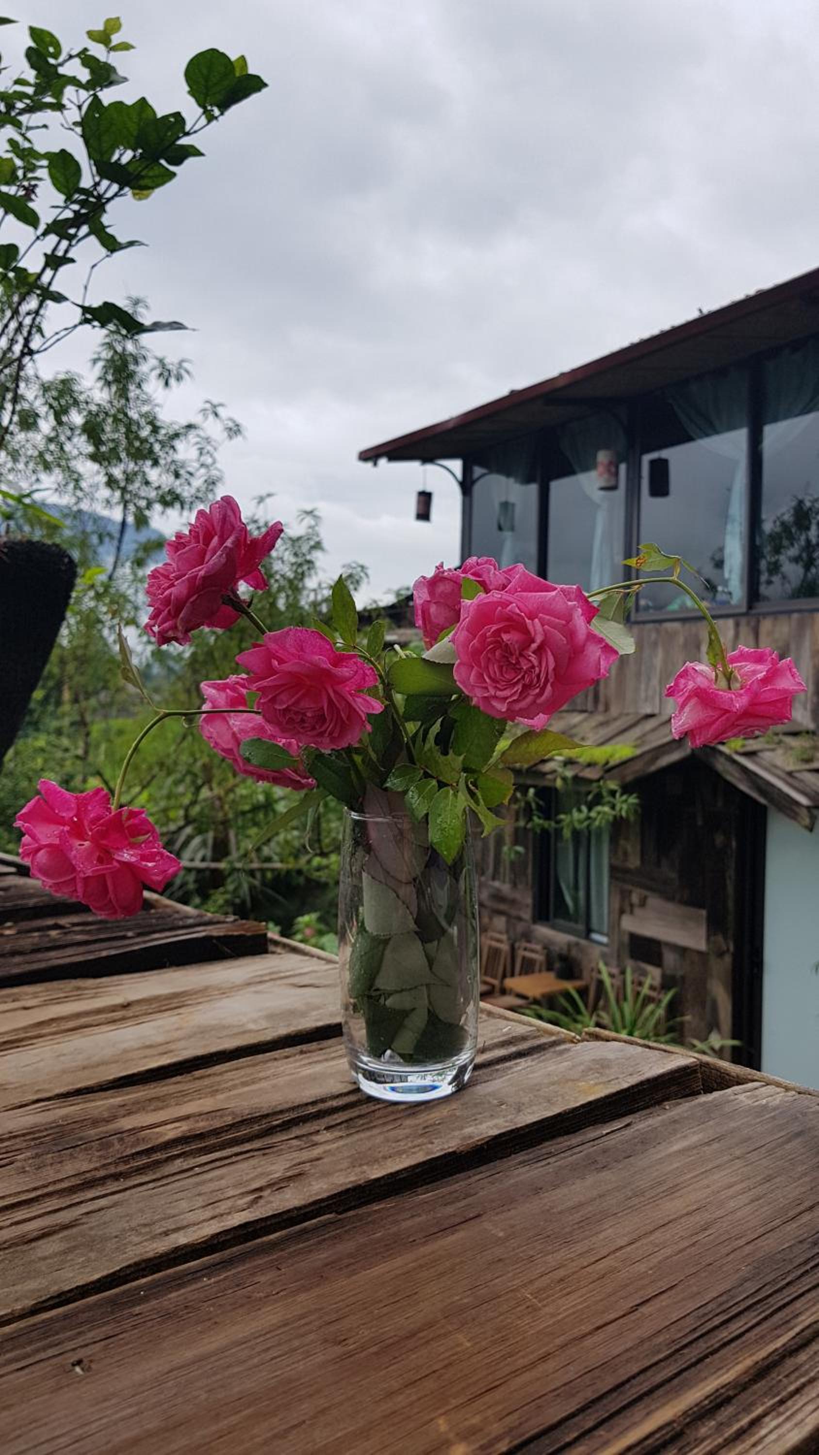 Tavan View Homestay