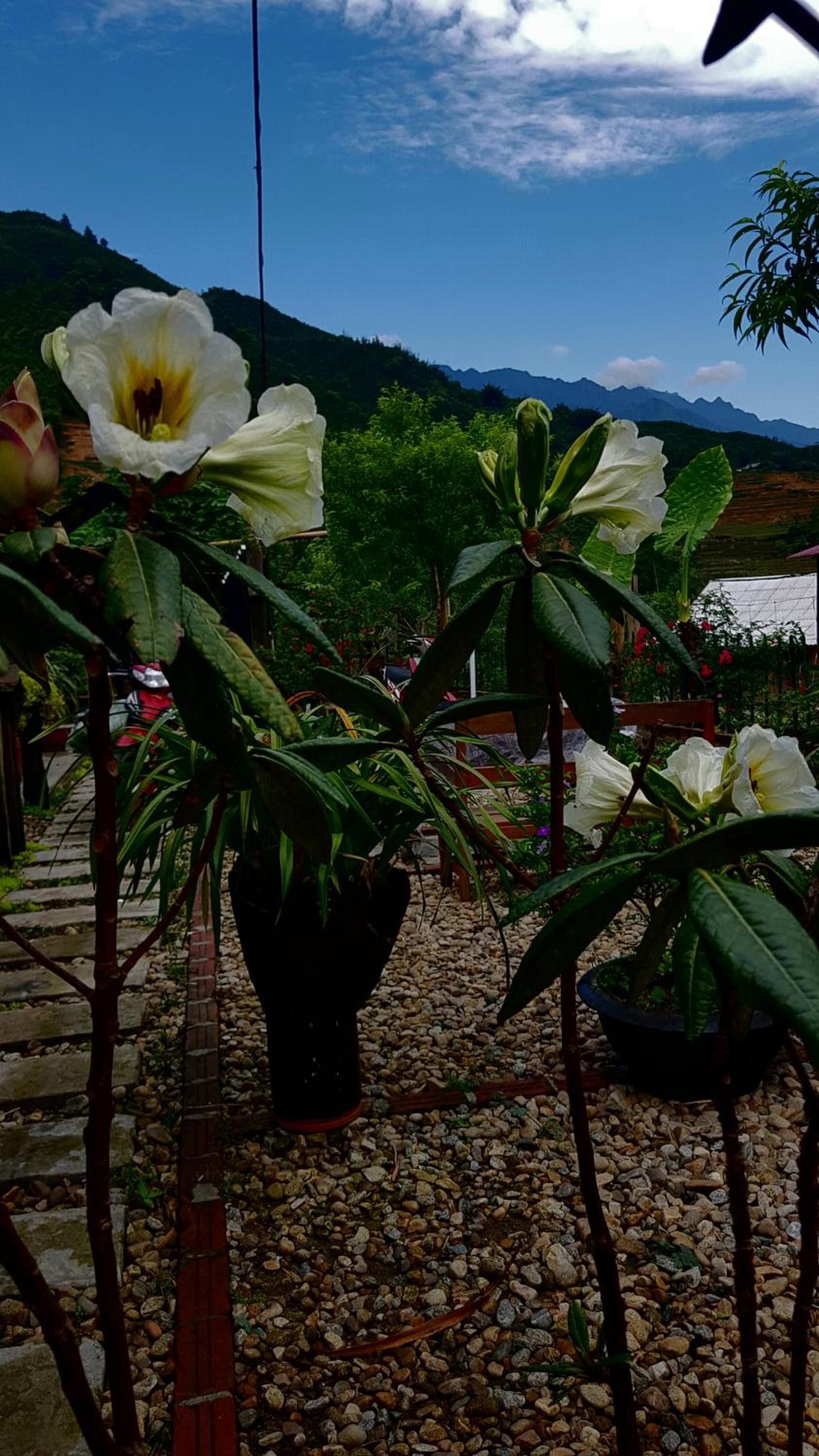 Tavan View Homestay