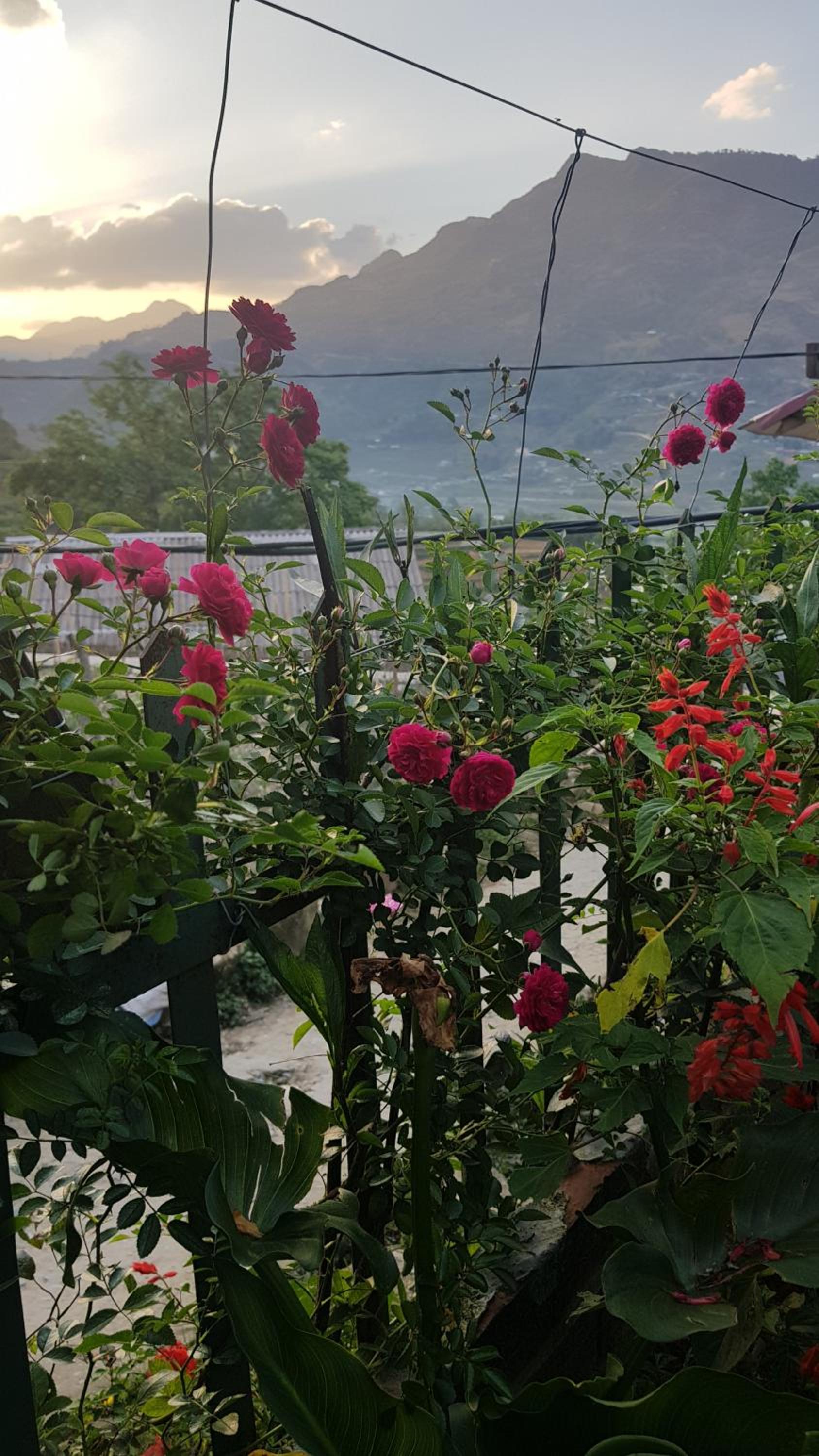 Tavan View Homestay