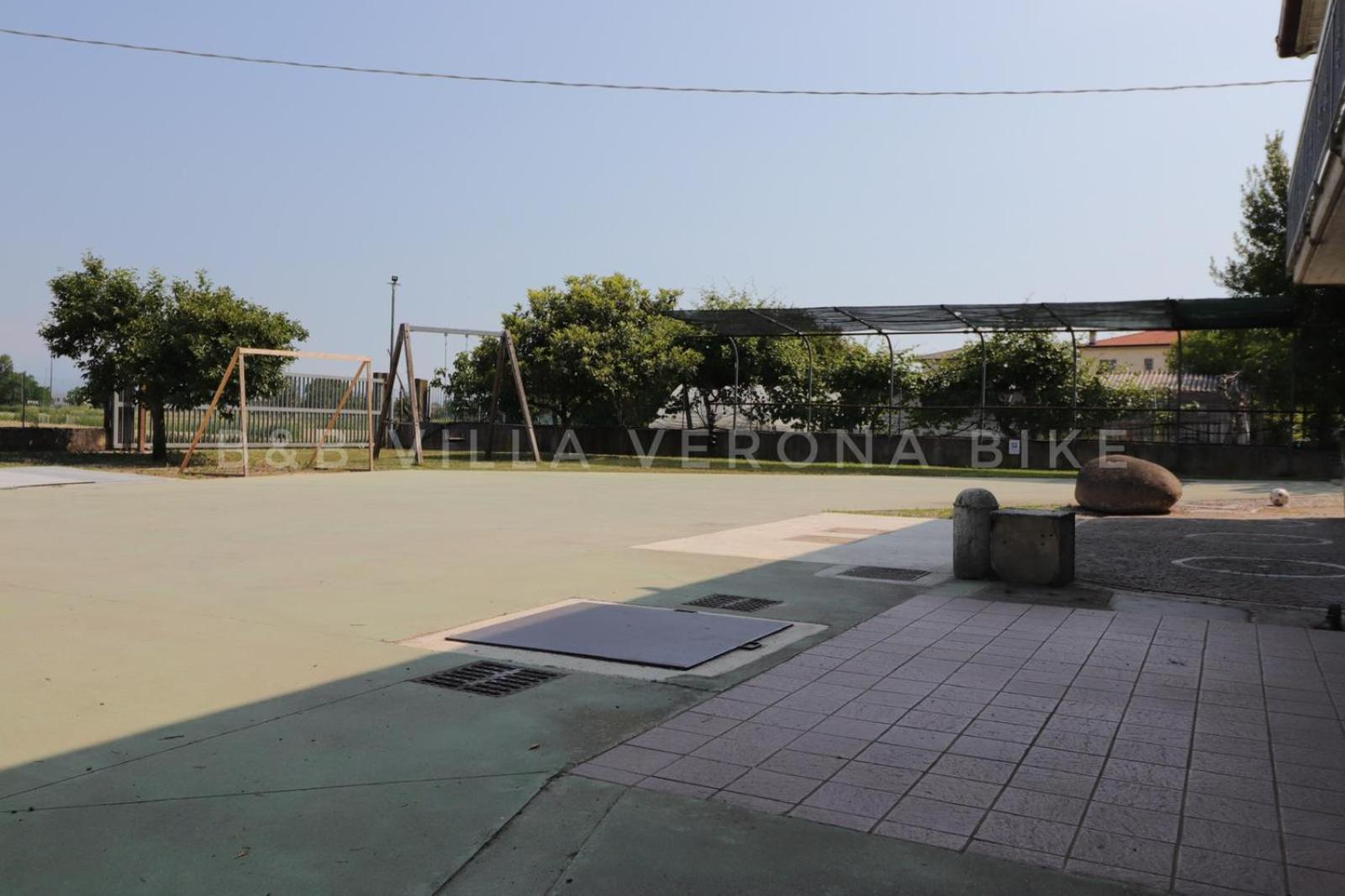 Photo 11