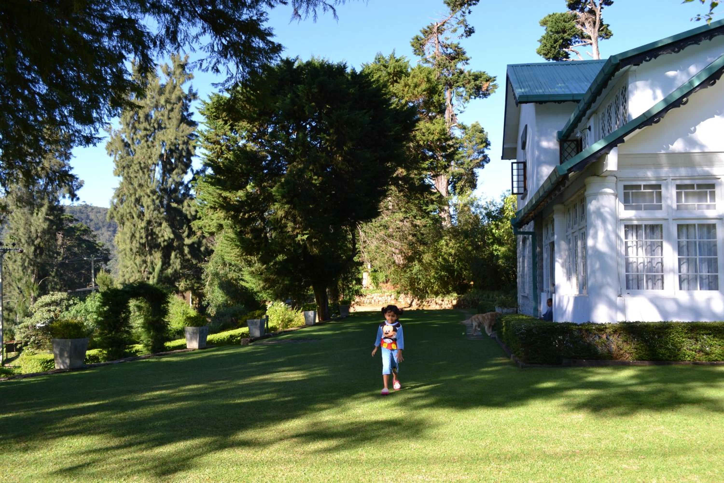 Brockenhurst Bungalow