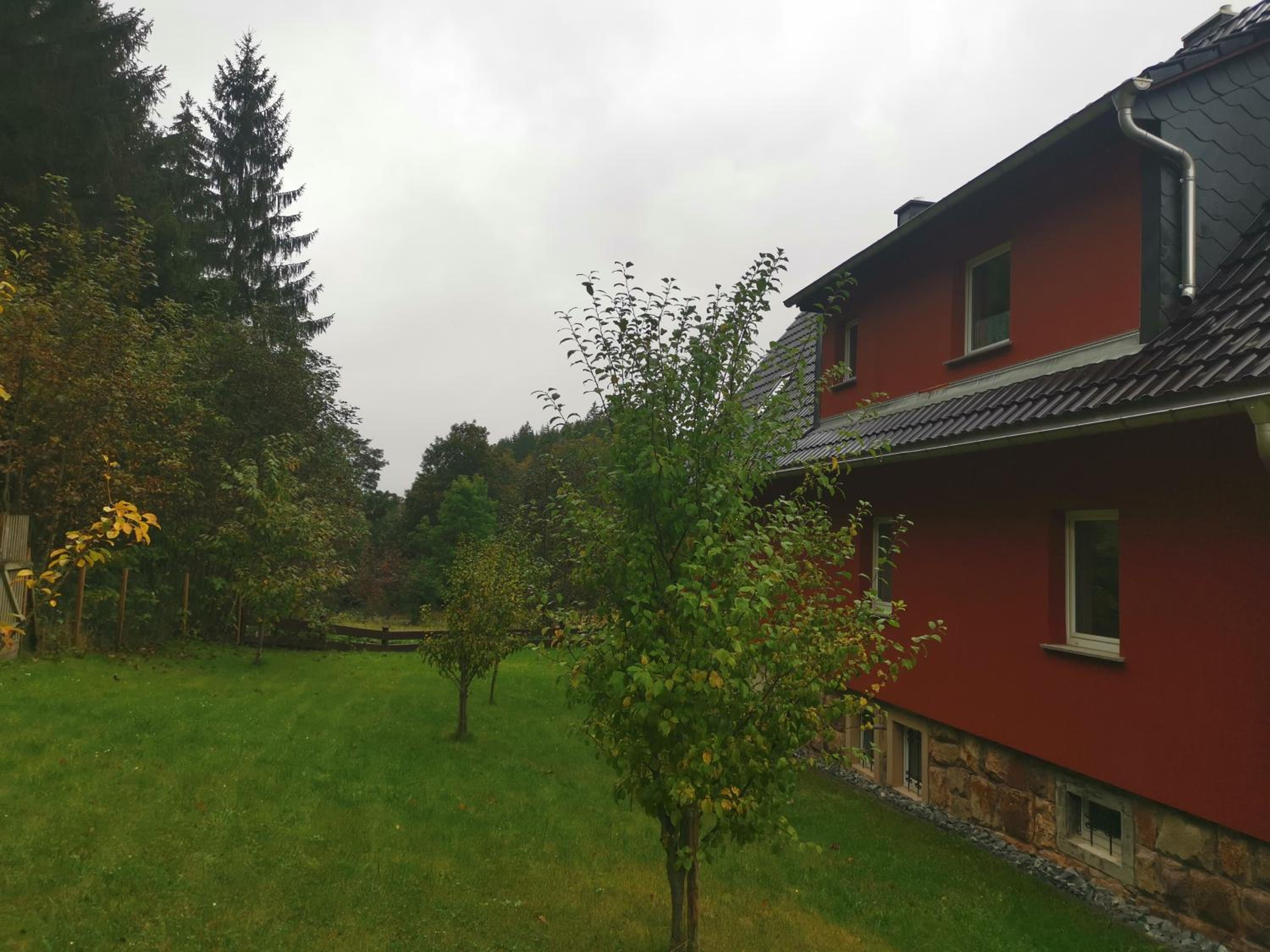 Wiesenblick