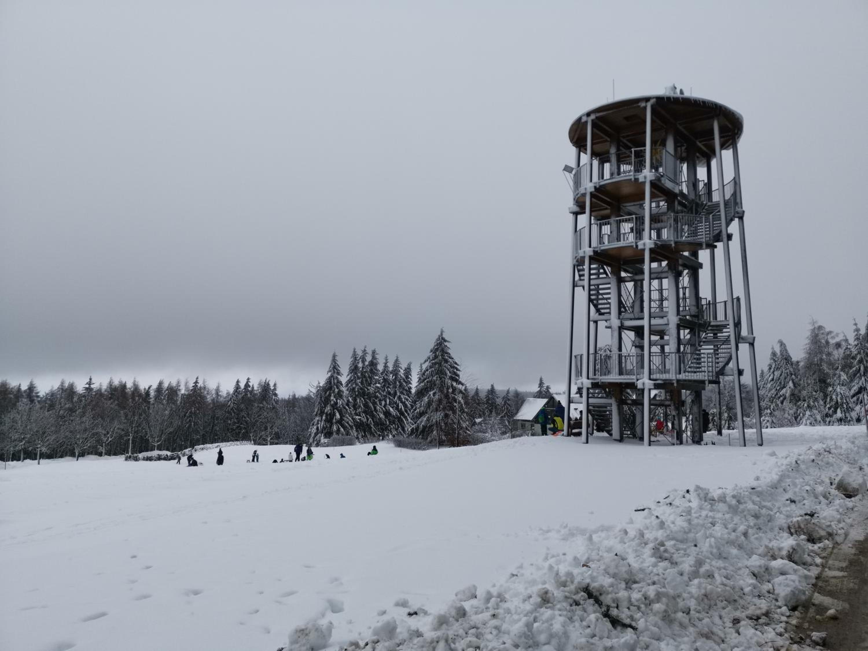 Wiesenblick