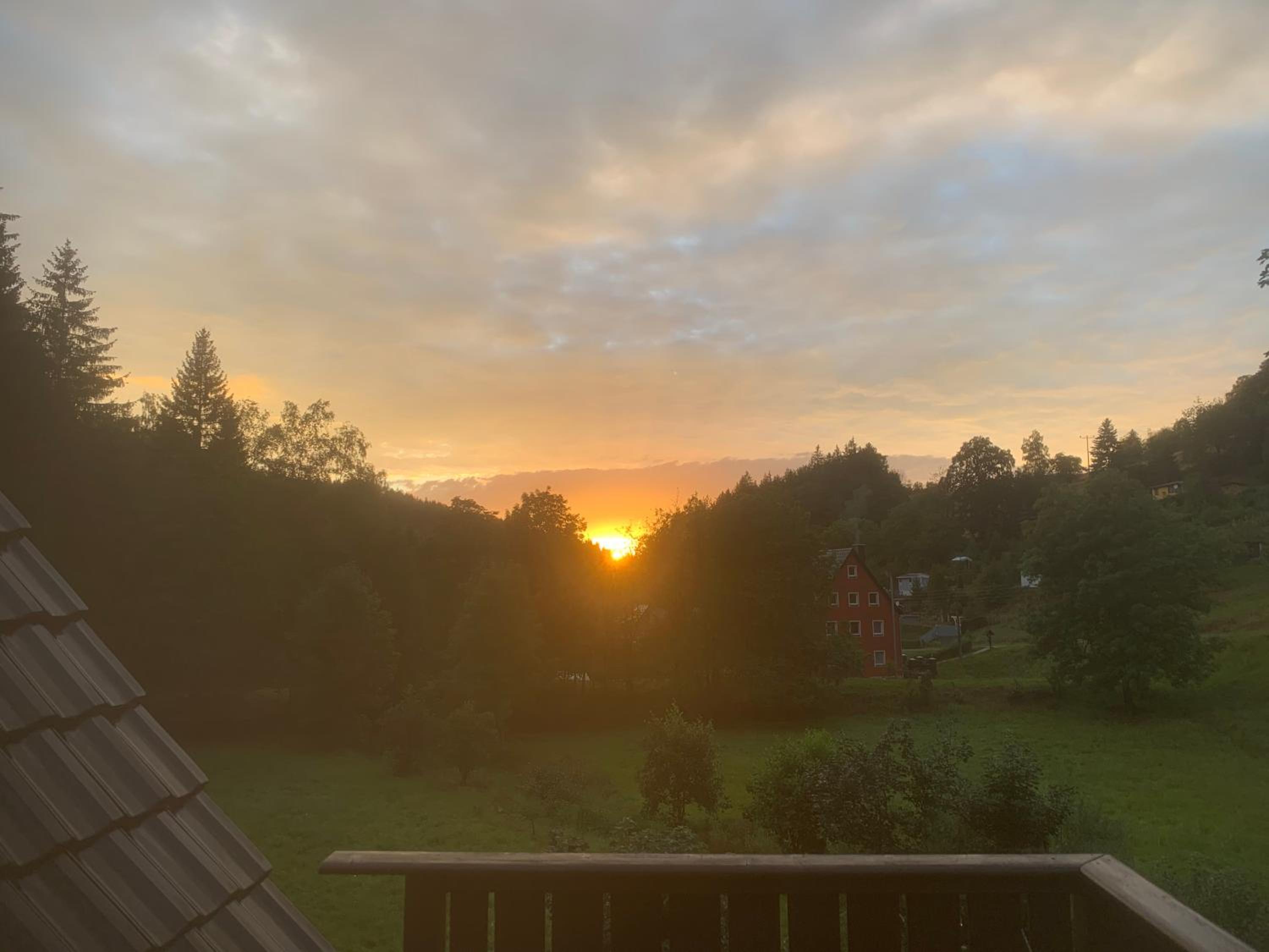 Wiesenblick