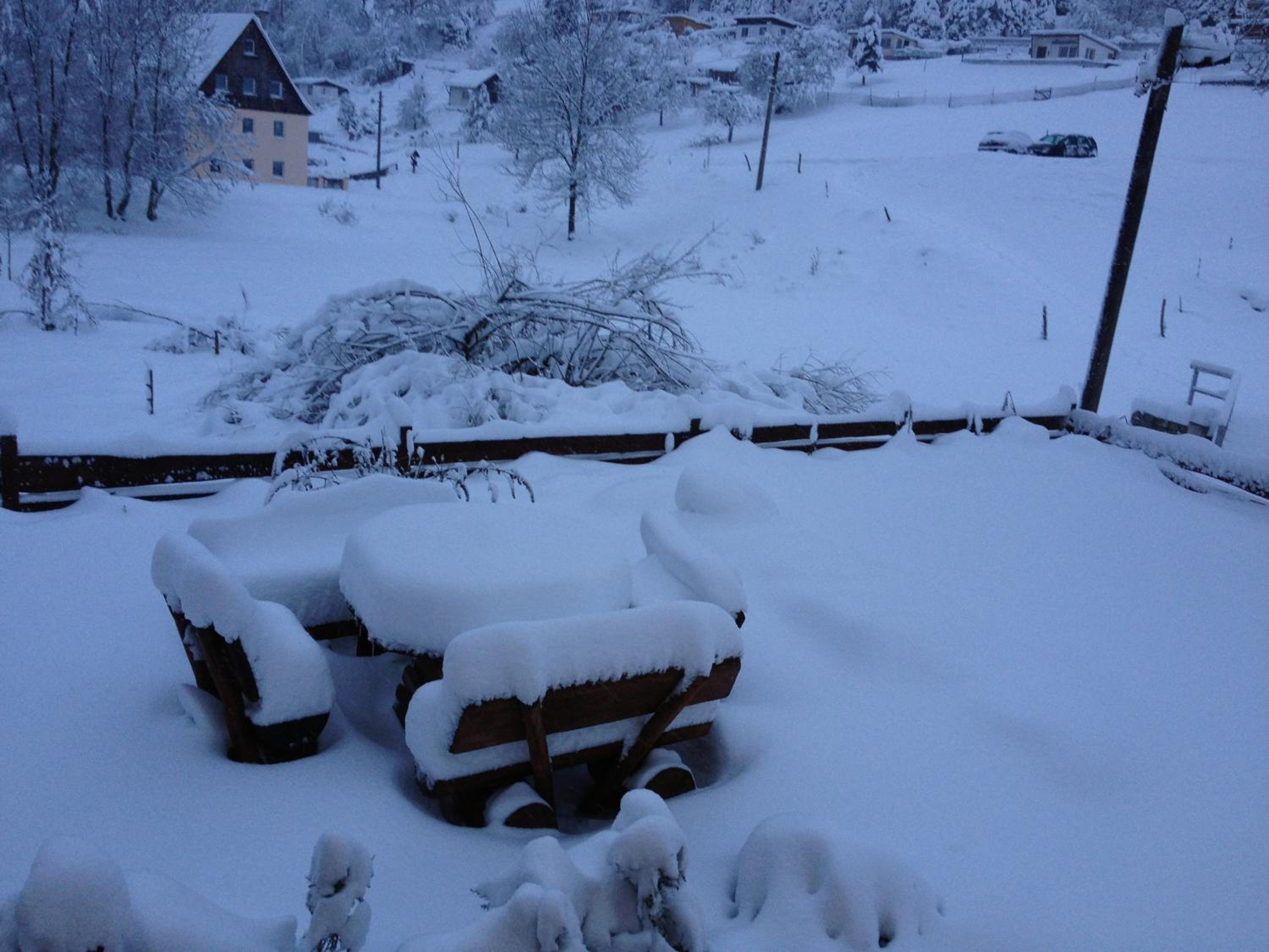 Wiesenblick