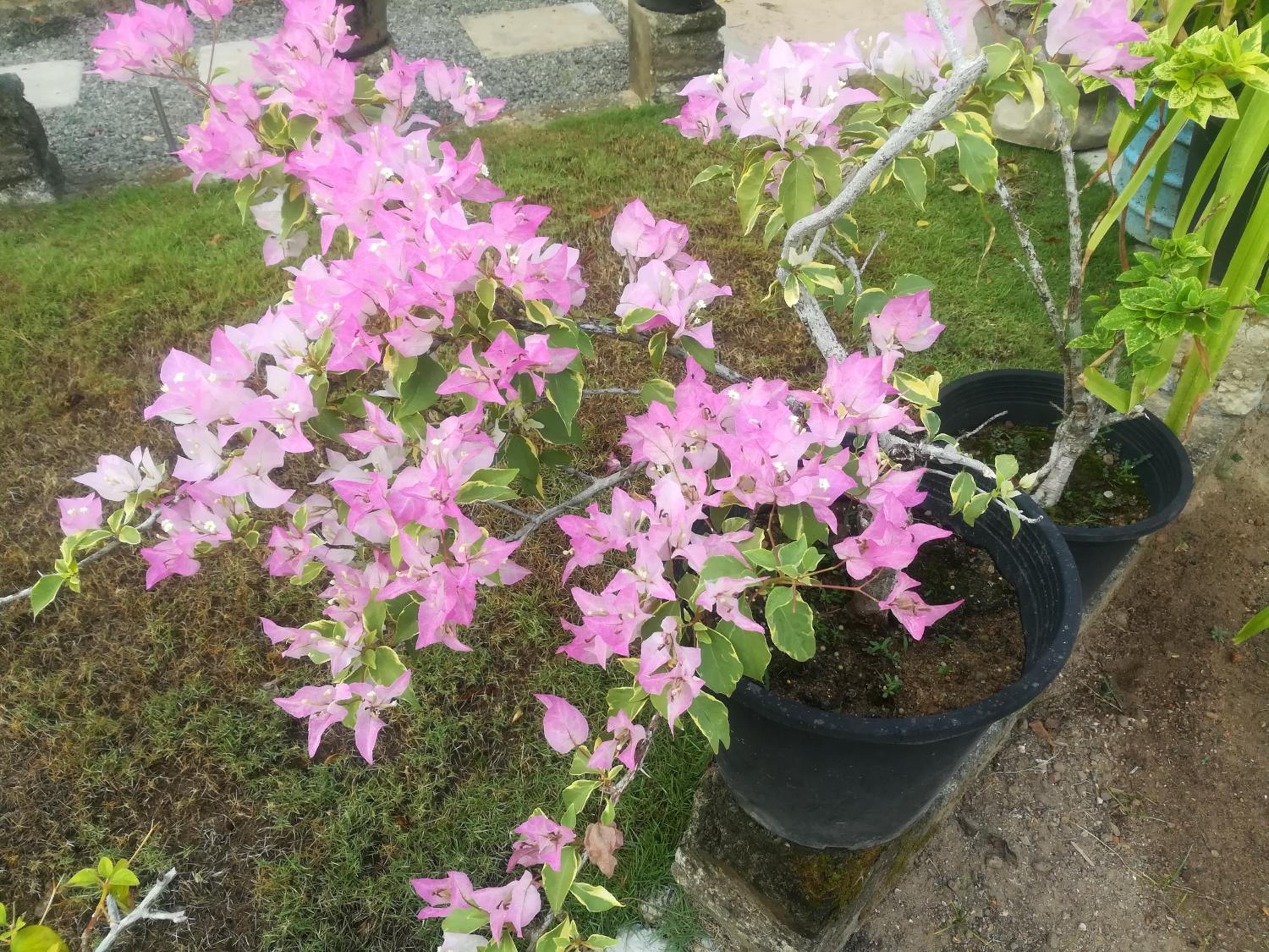 Photo 26