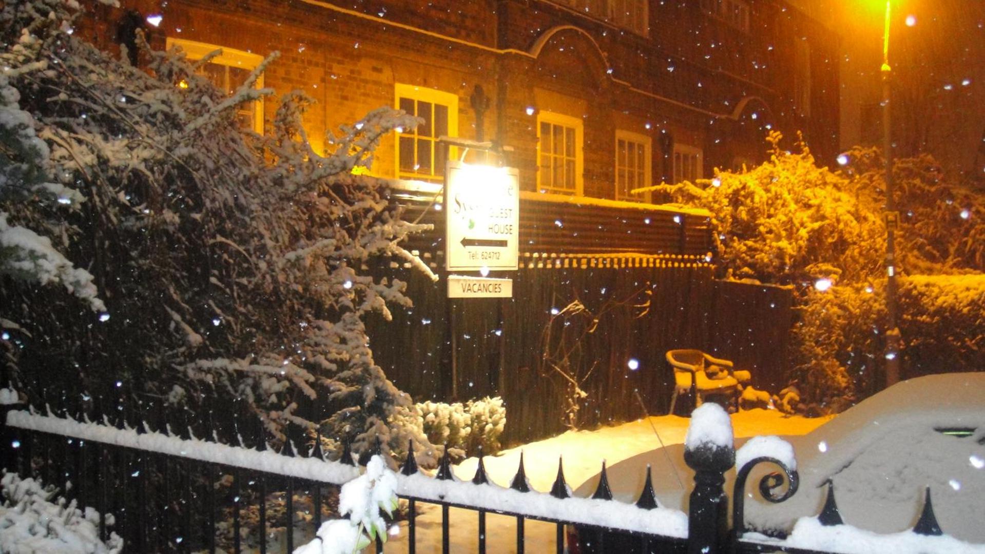 The Sycamore Guest House