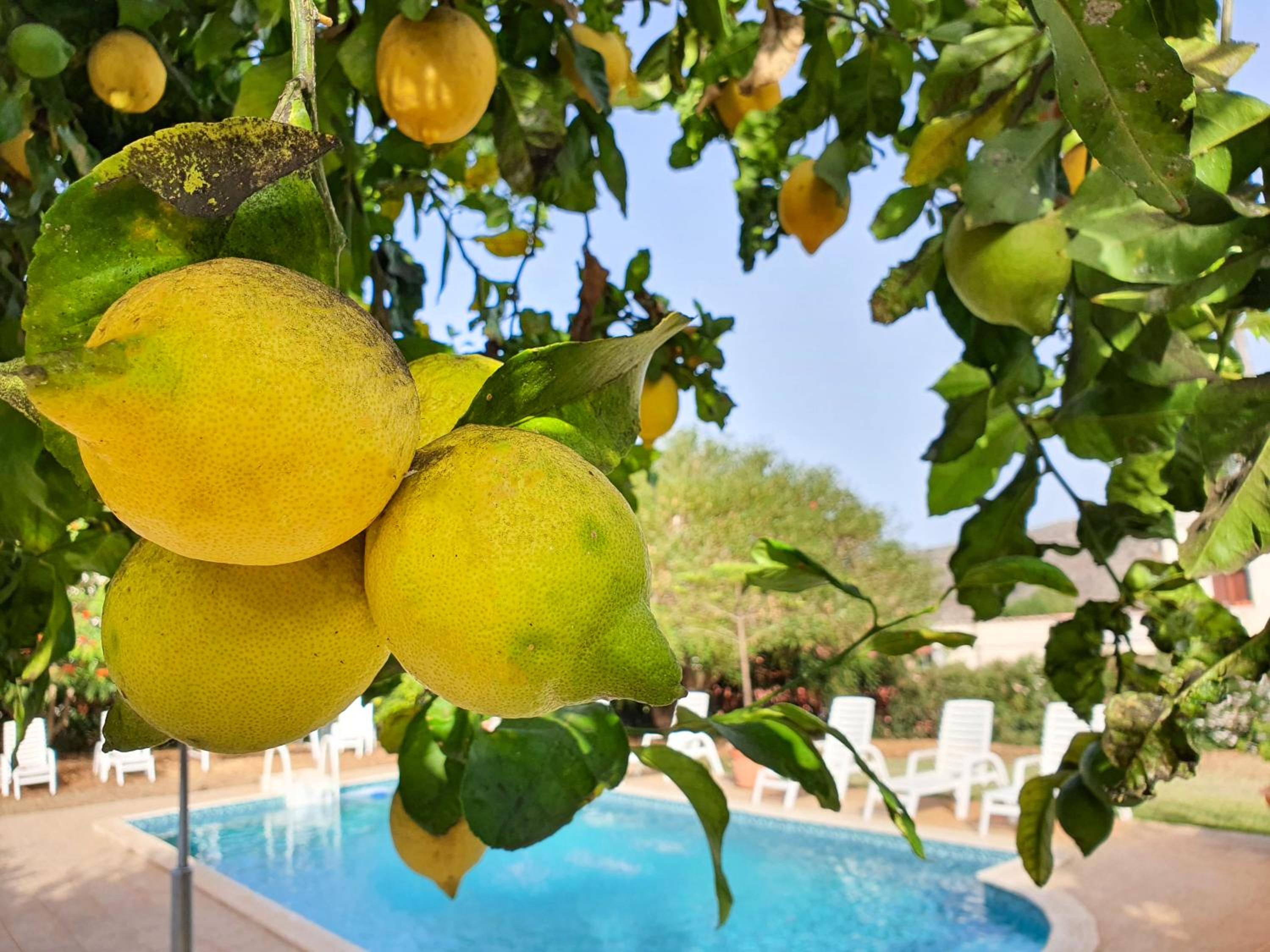 Hotel Las Esterlicias ( Villa Rural Ecológica ) - Image 1