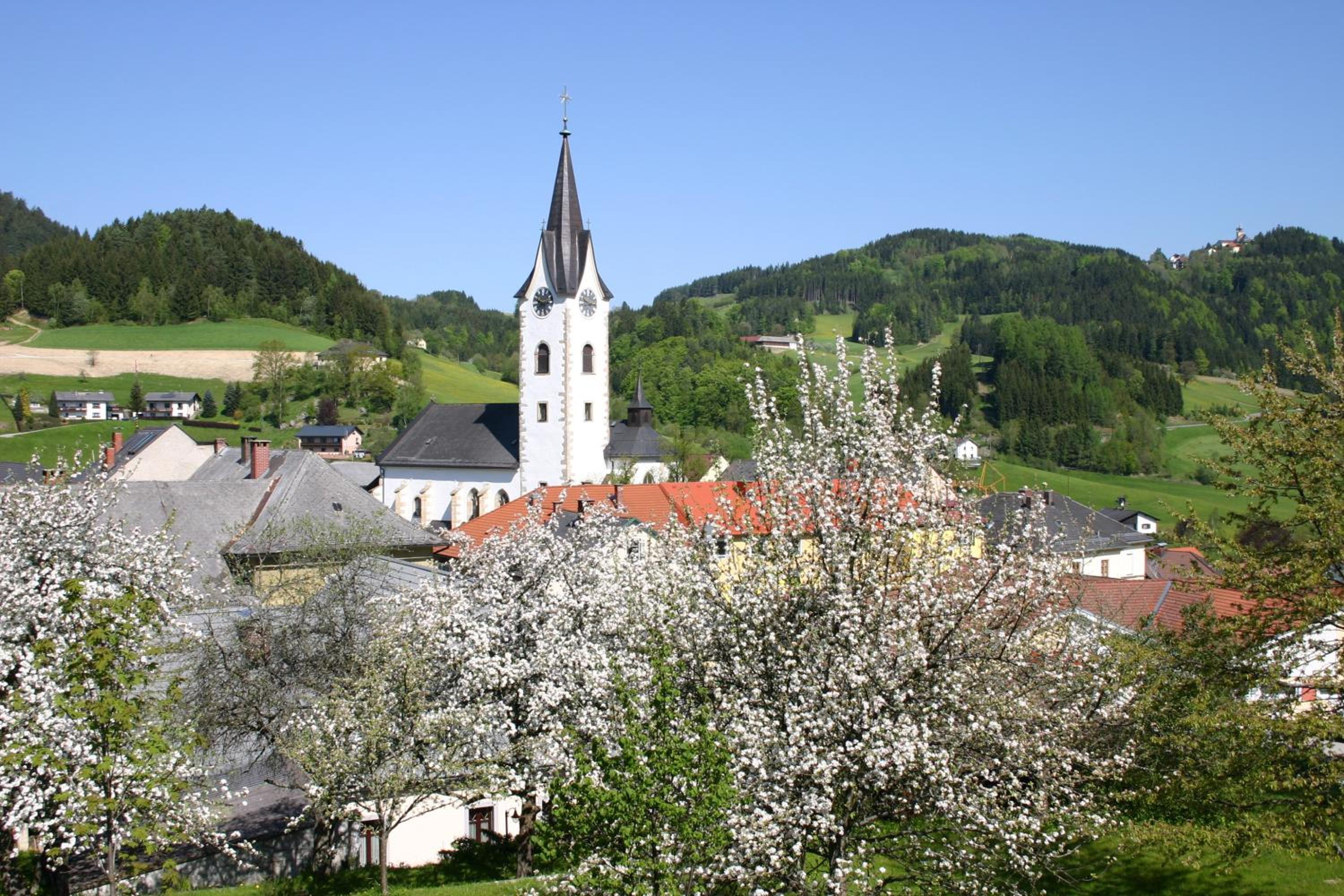 Photo 22