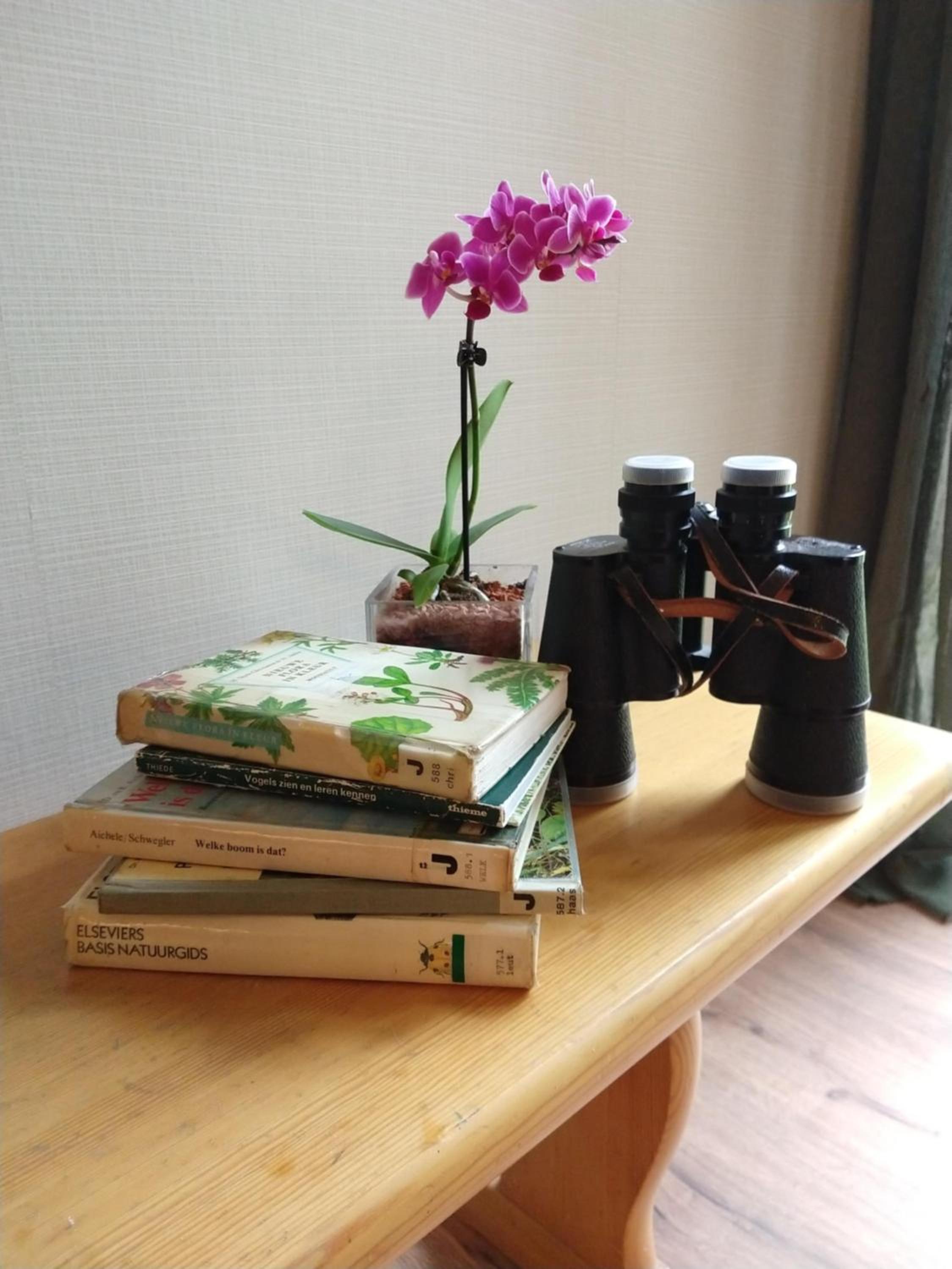 Photo 29