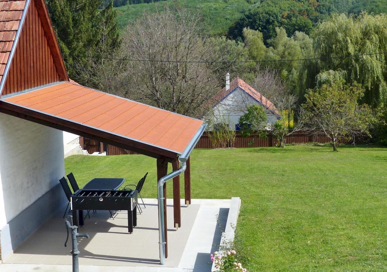 Guest House Magyarlukafa view 5