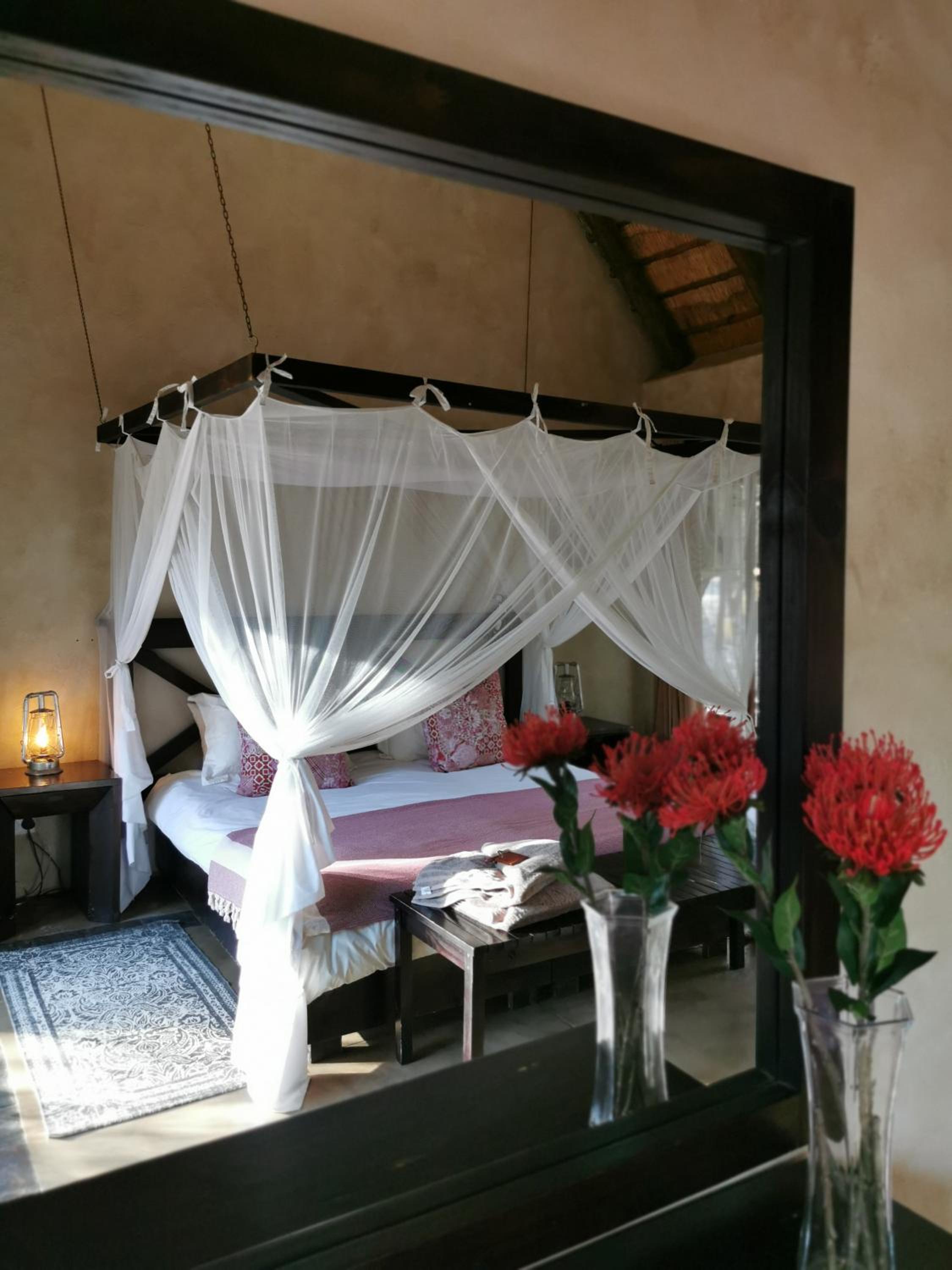 Thornhill Safari Lodge