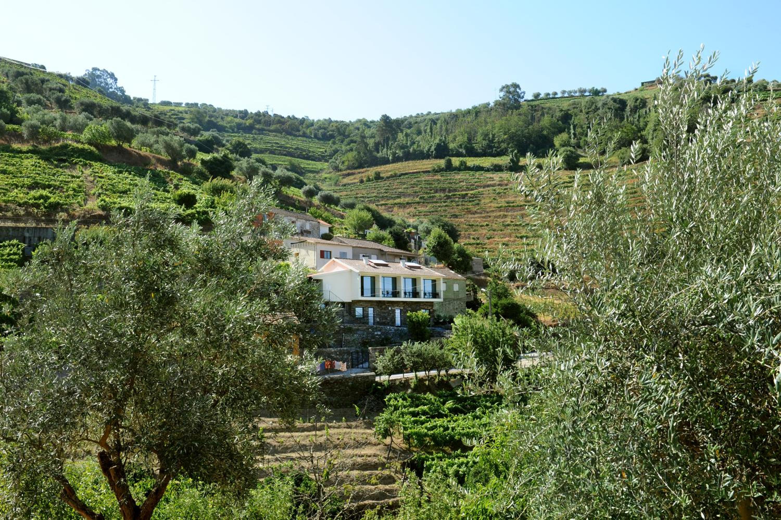 Hotel DouroXisto - Image 1