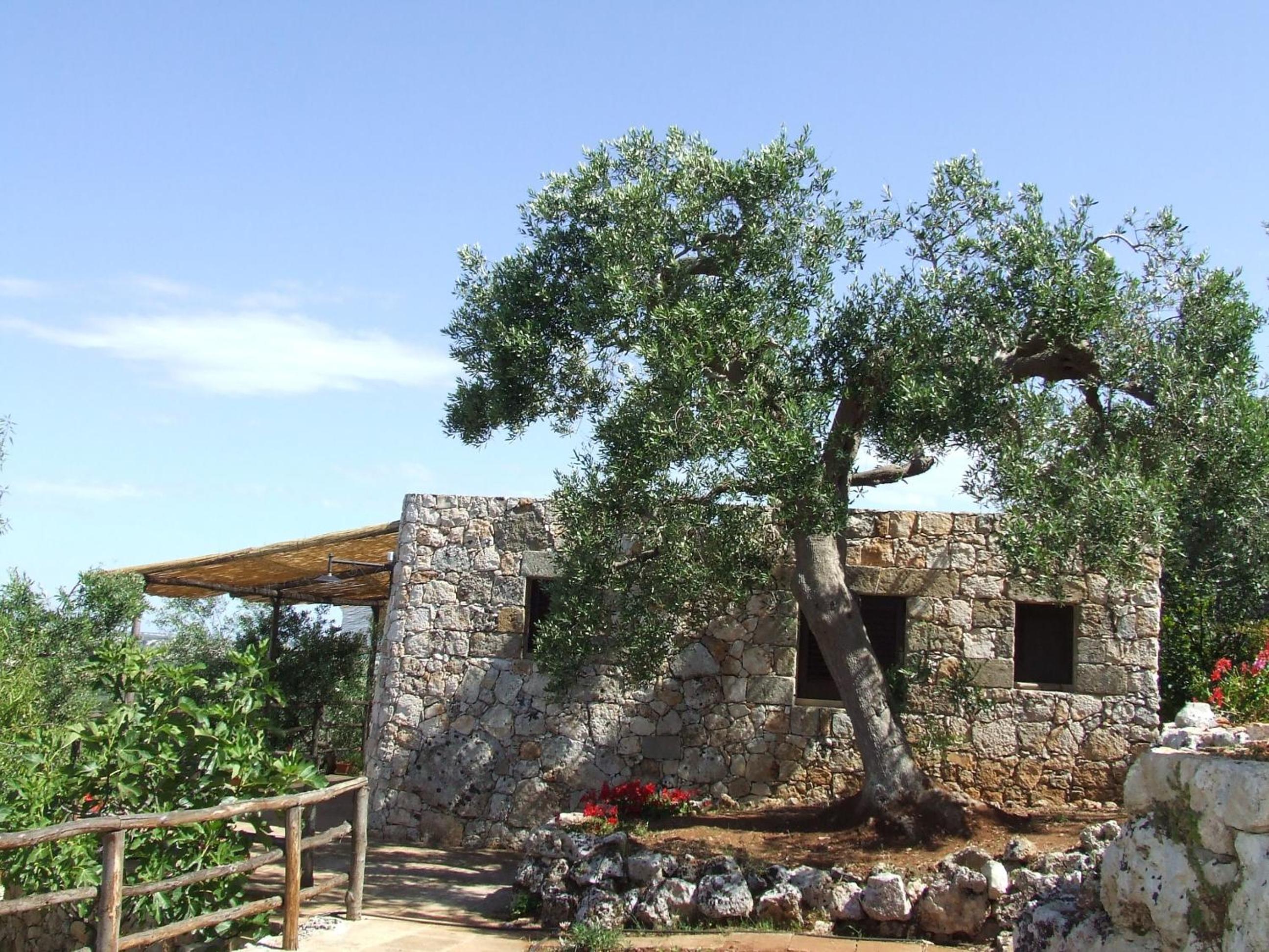 Residencefusaro pajare Specchia