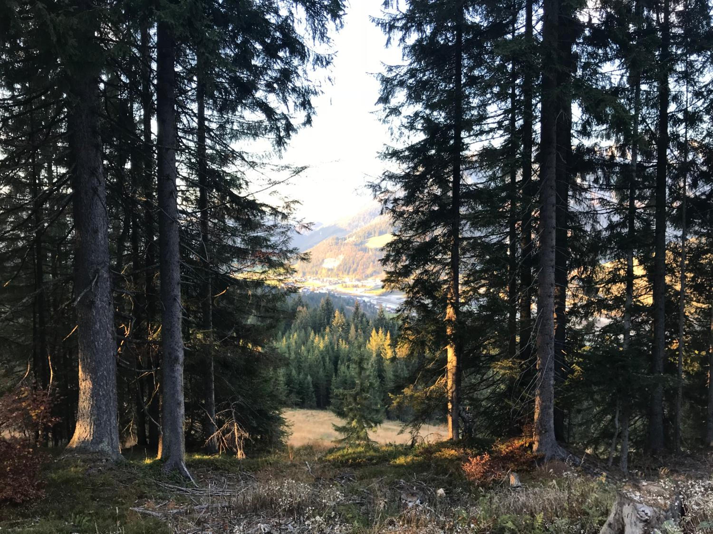 Hochfilz´ner Hof