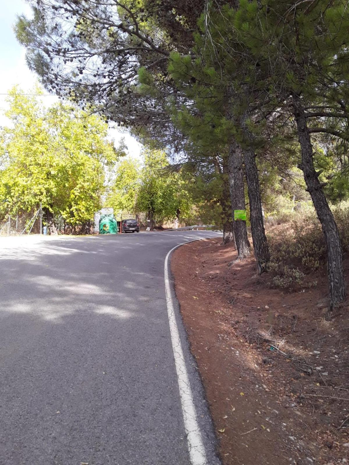Photo 42