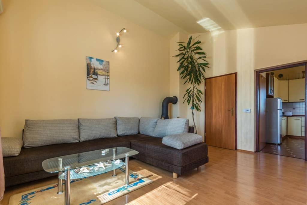 Apartman Stela view 4