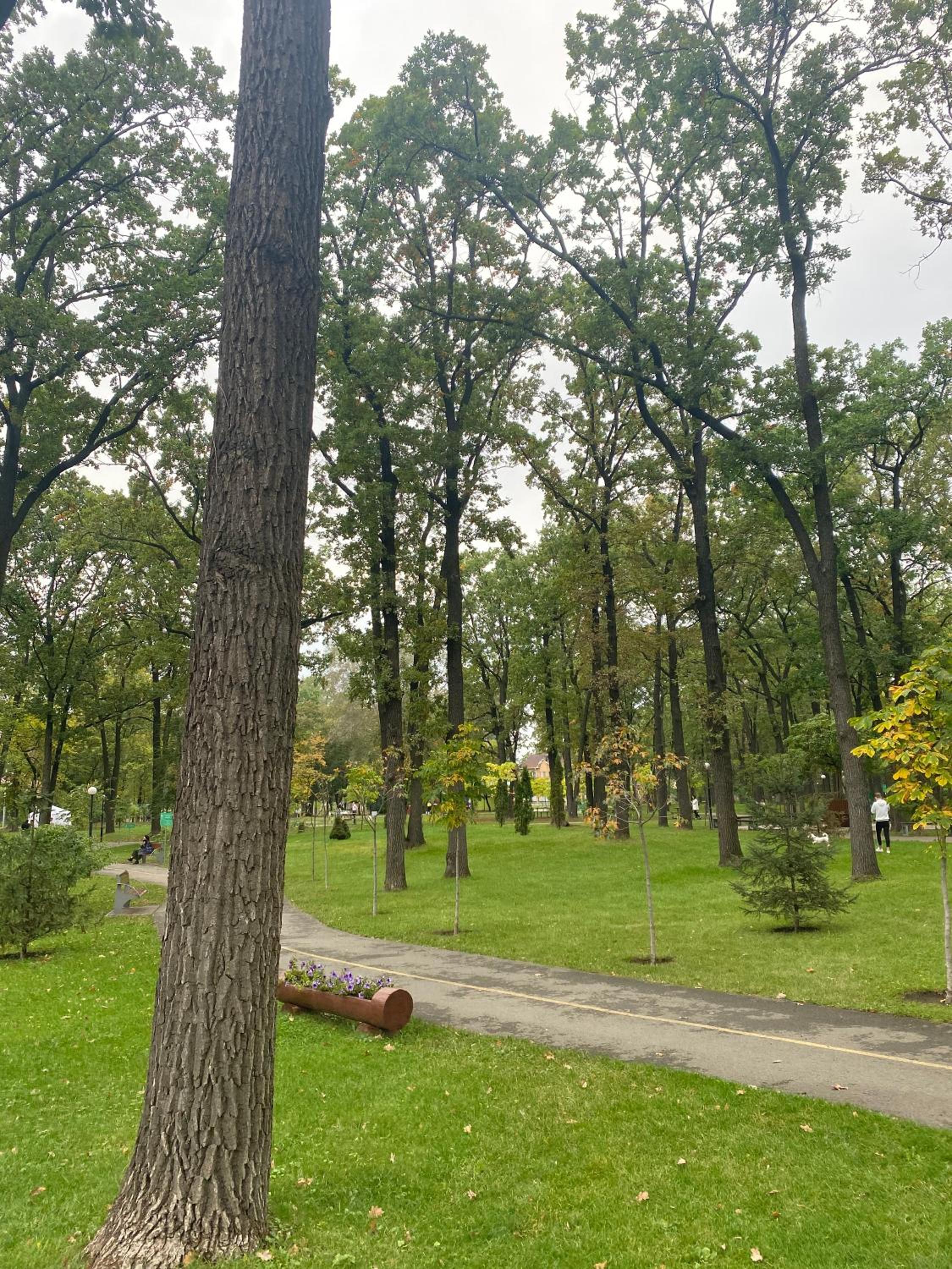 Сучасна та простора квартира в гарному районі міста біля парку, photo 20