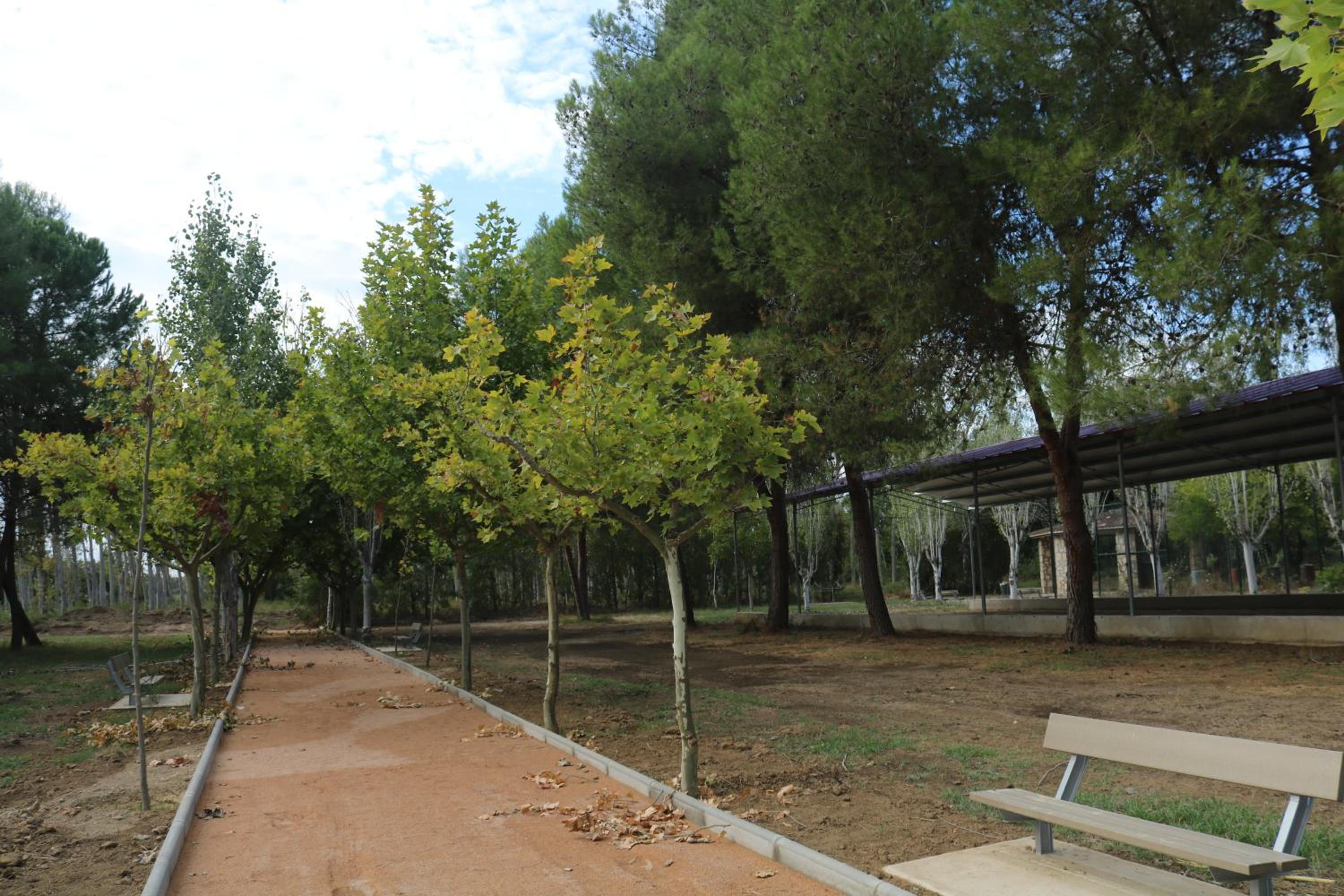 Photo 41
