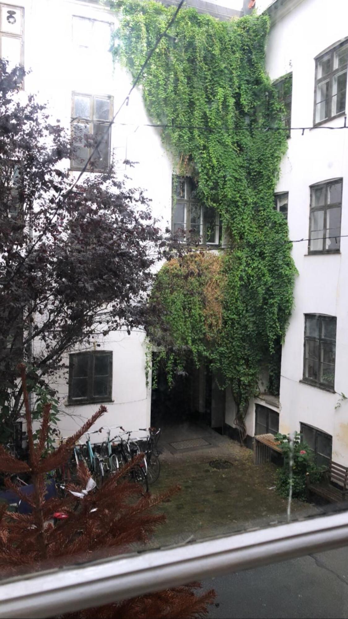 Cozy Studio Apartment right next to the City Hall view 3