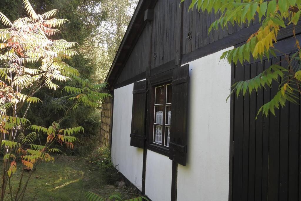 Modrzewiowy domek letniskowy - Stare Czaple view 2