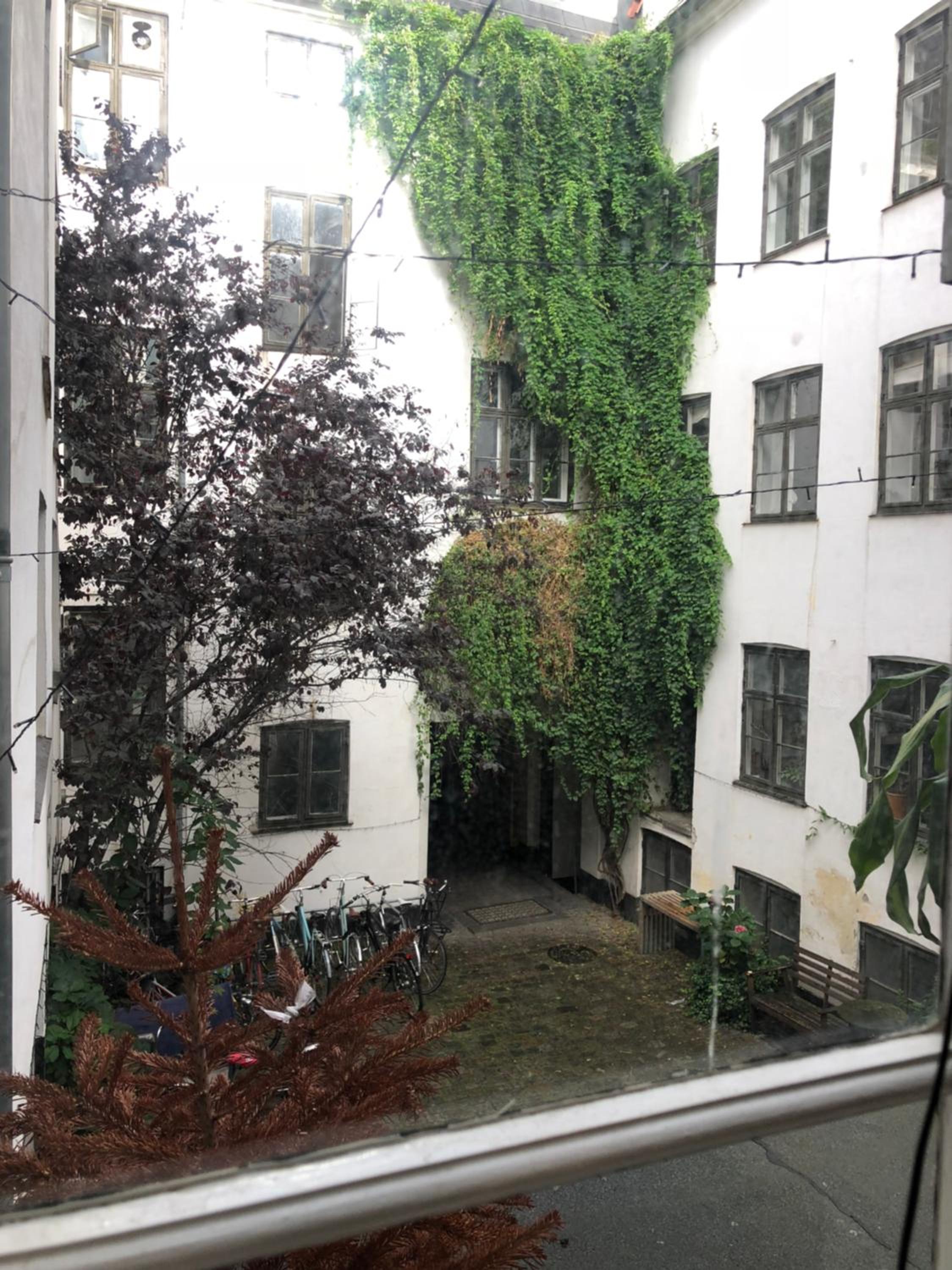 Cozy Studio Apartment right next to the City Hall view 4