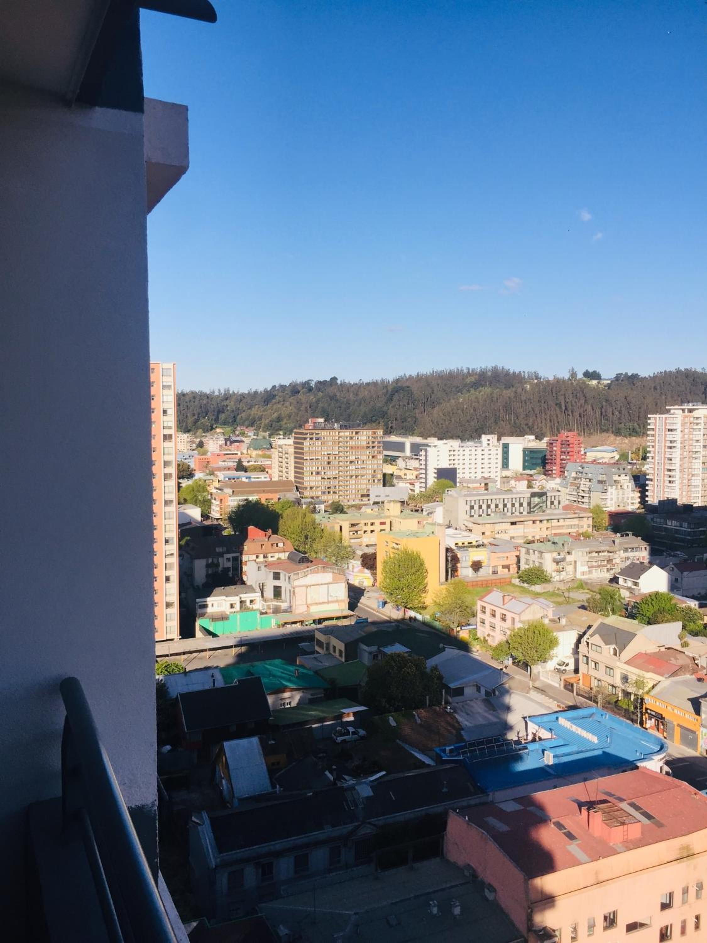 Departamento Freire 1062