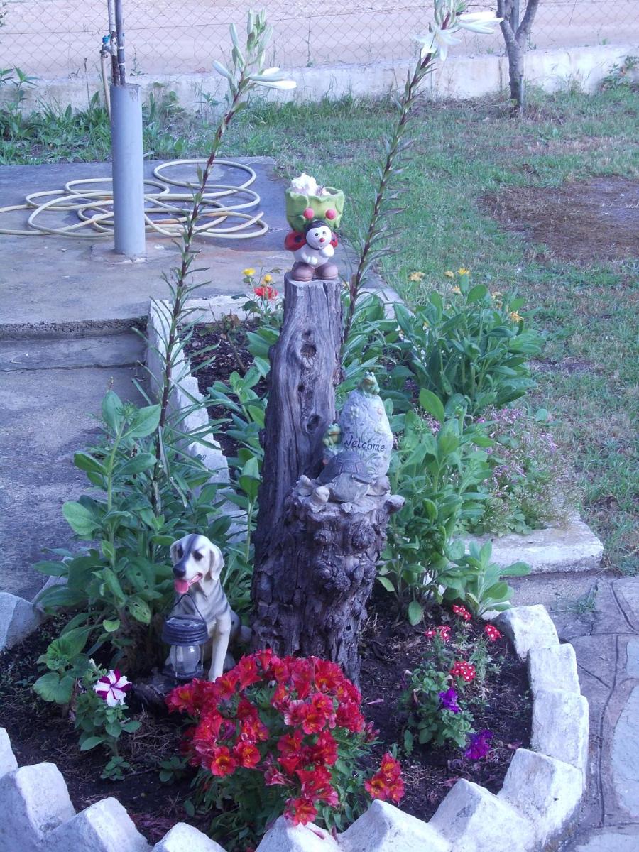 Photo 55