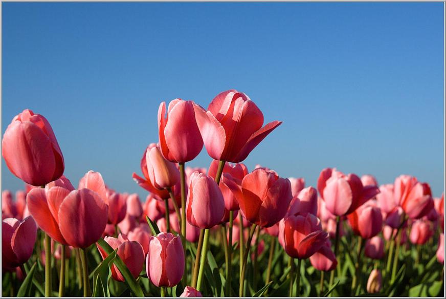 Zonnig Zuid