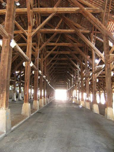 Photo 44