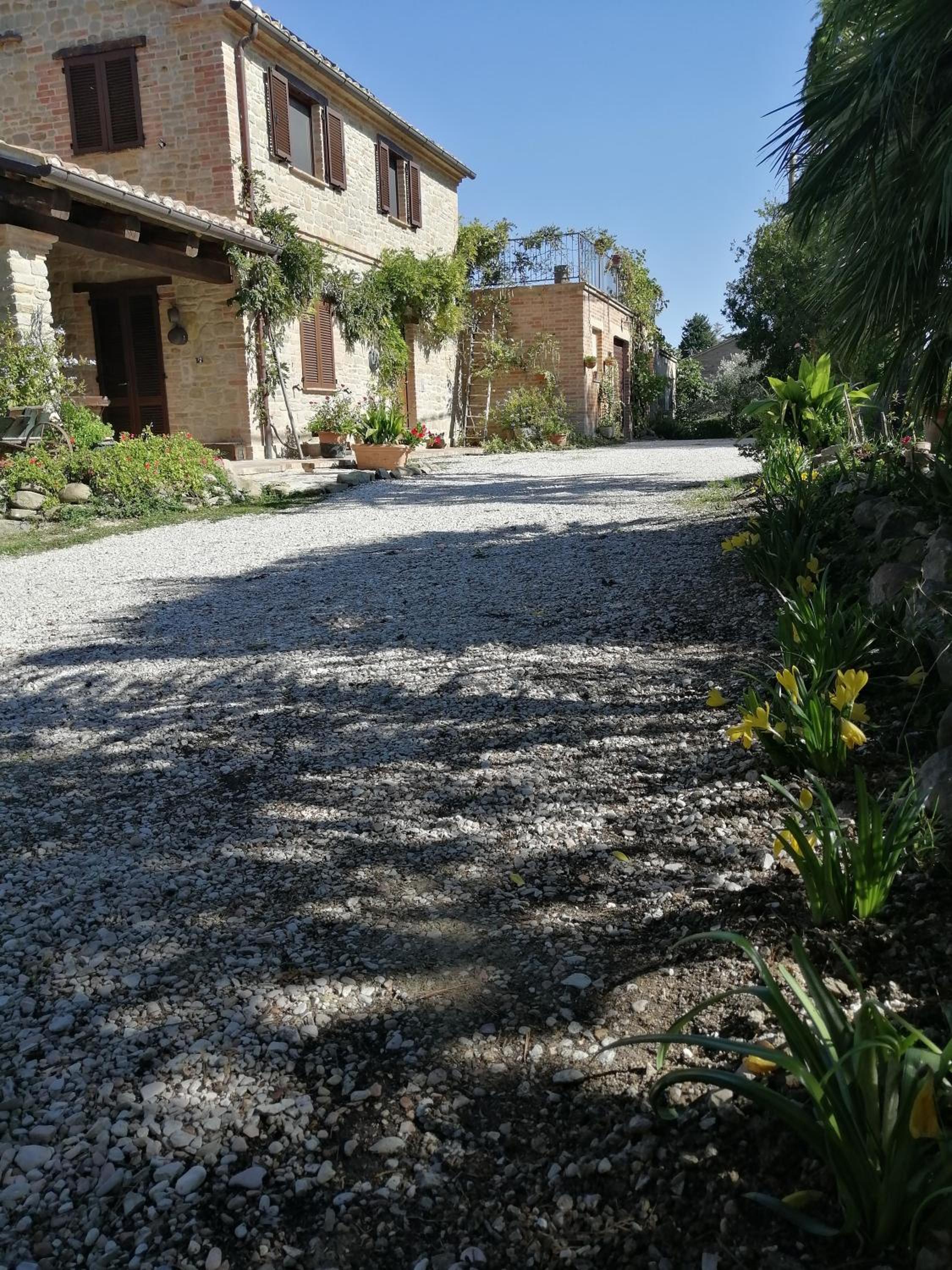 Photo 31