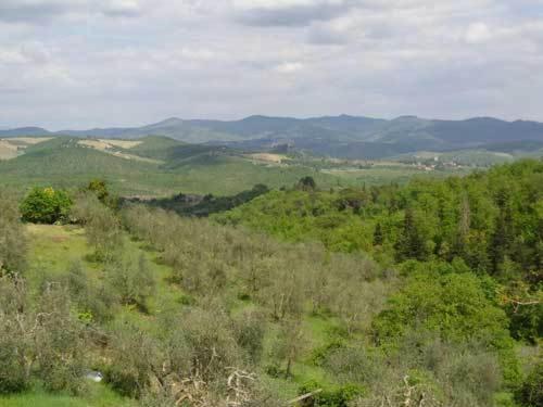 Borgo Carpineto