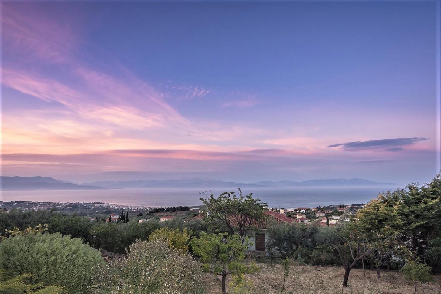 Ampelos Estate