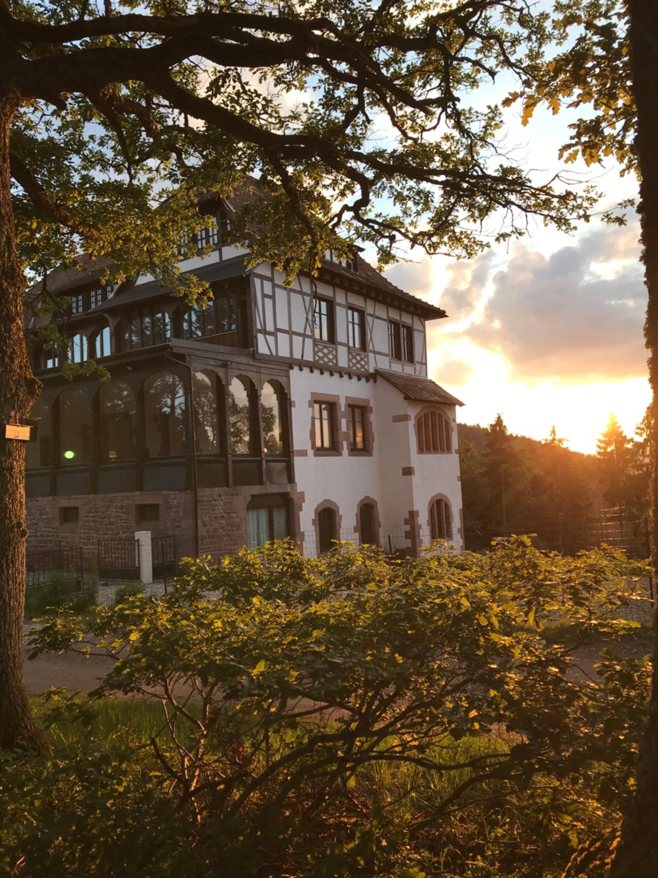 Logis Du Haut-Koenigsbourg view 4