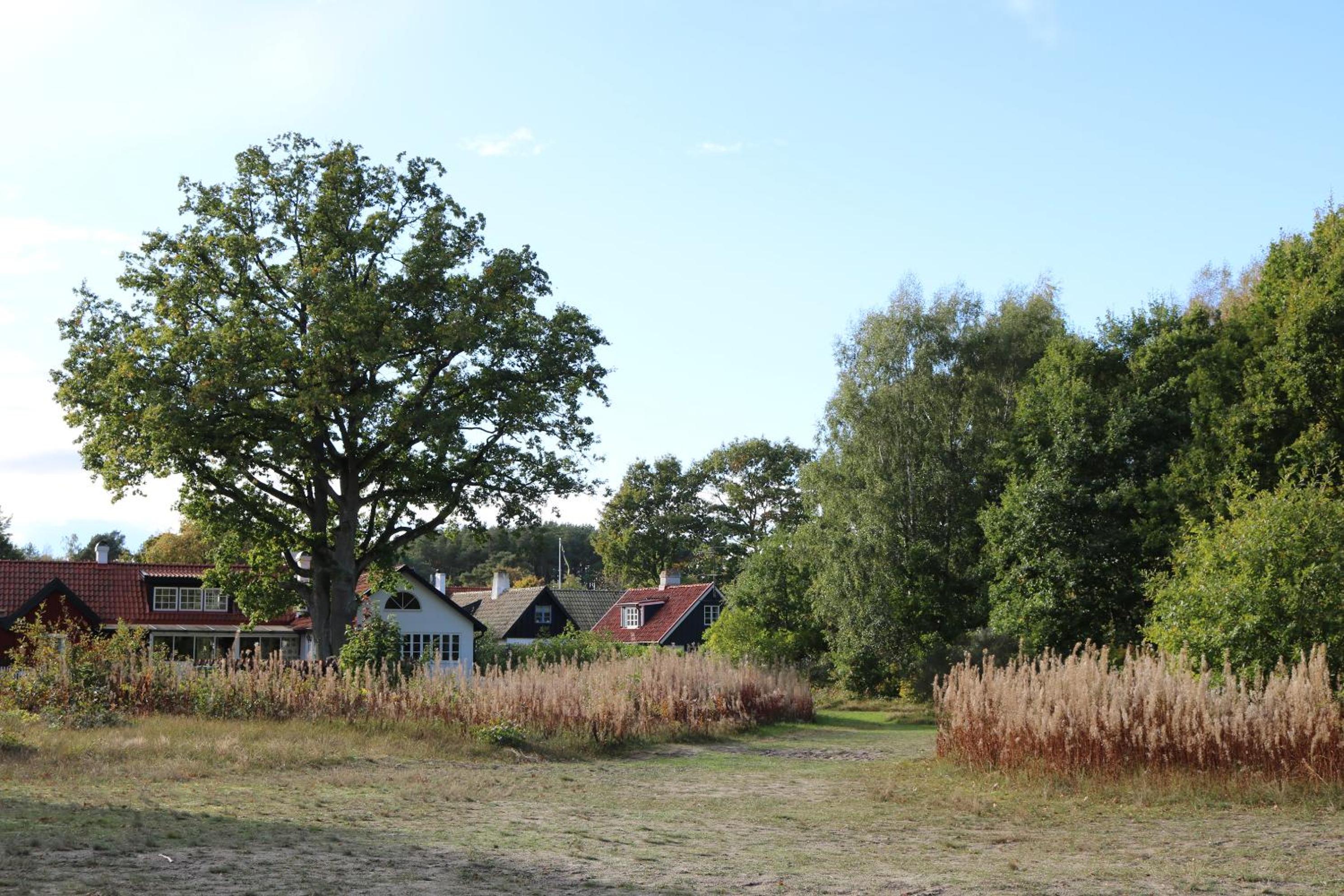 Photo 44
