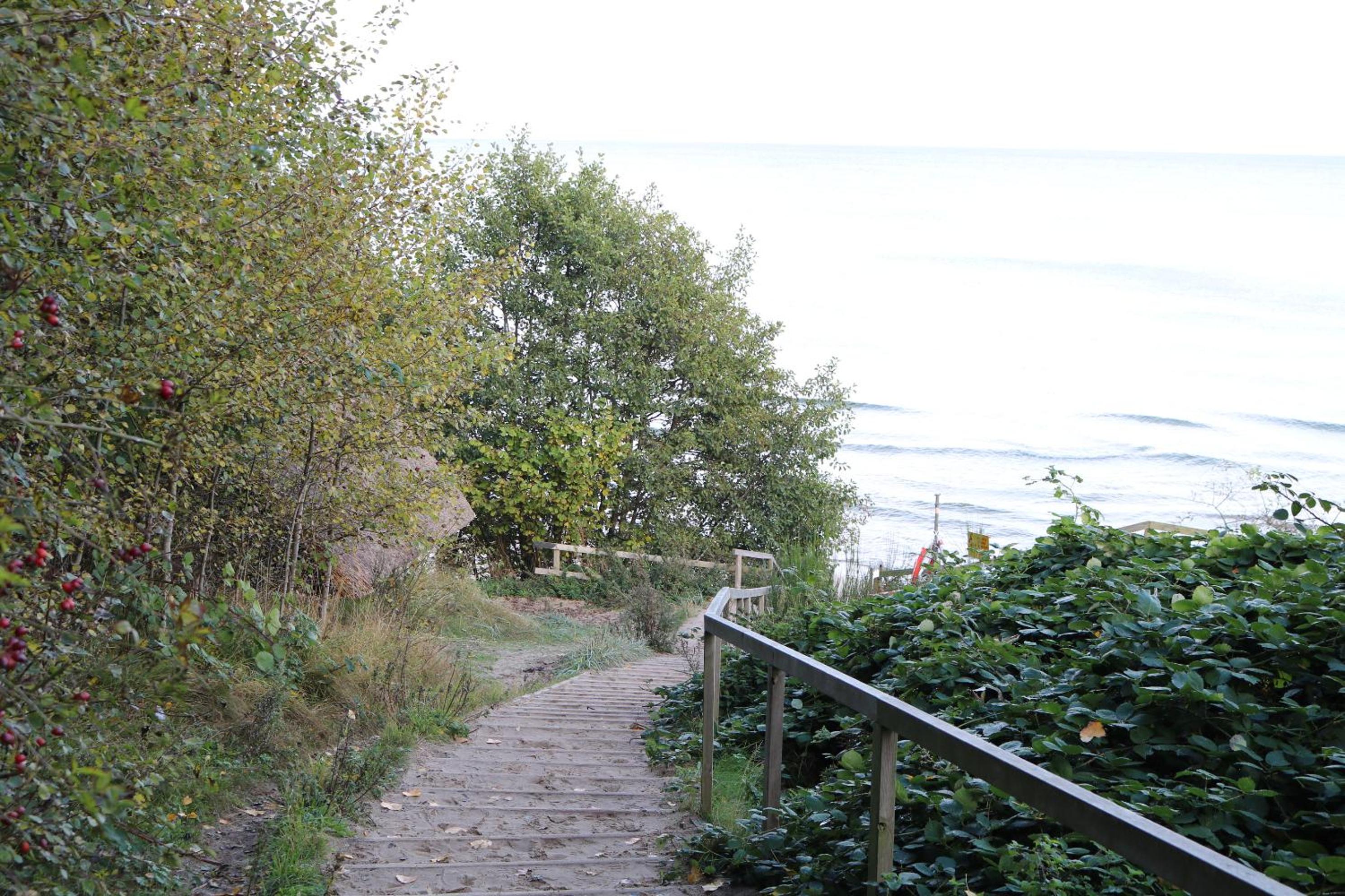 Photo 43