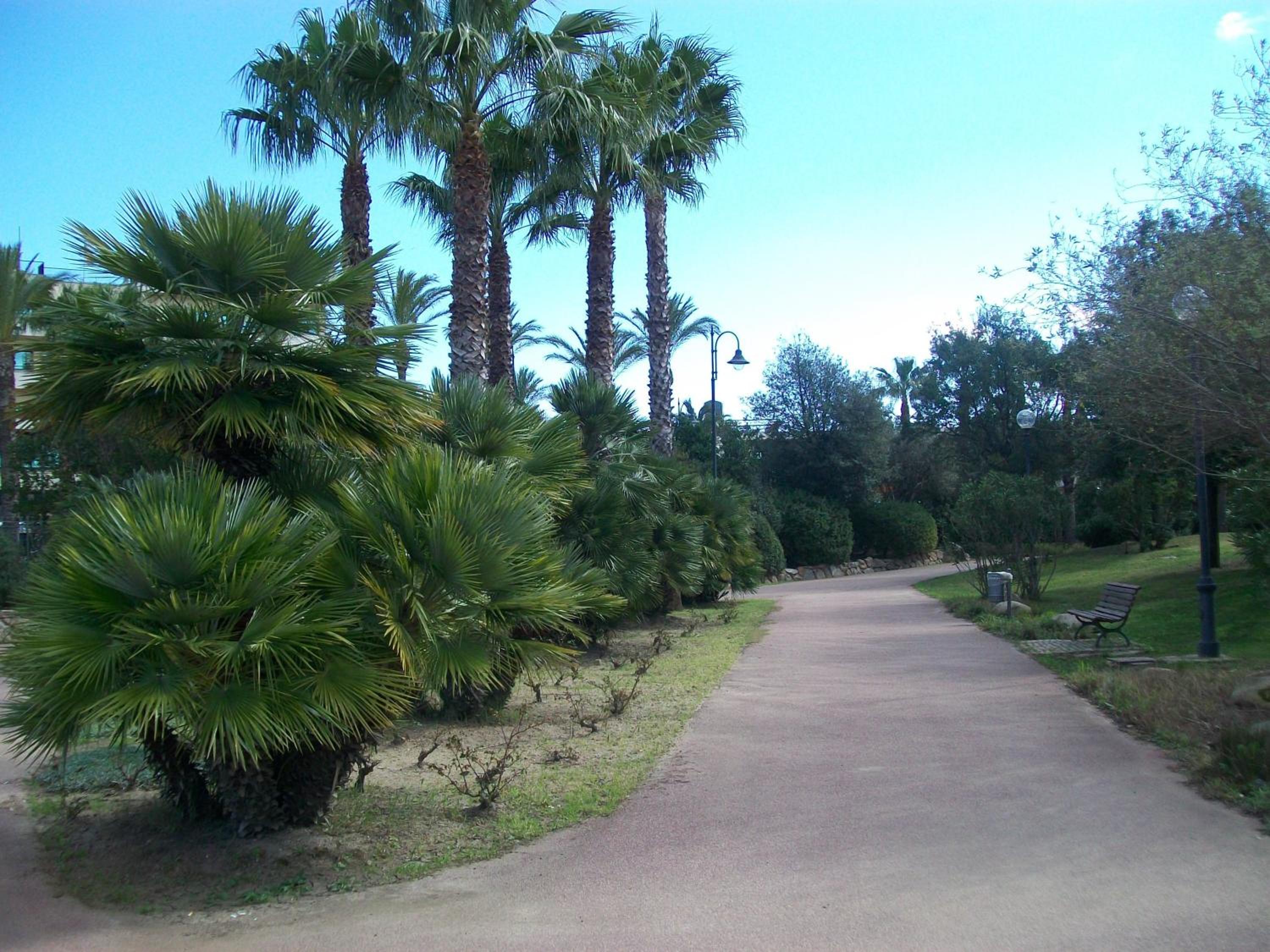 Photo 42
