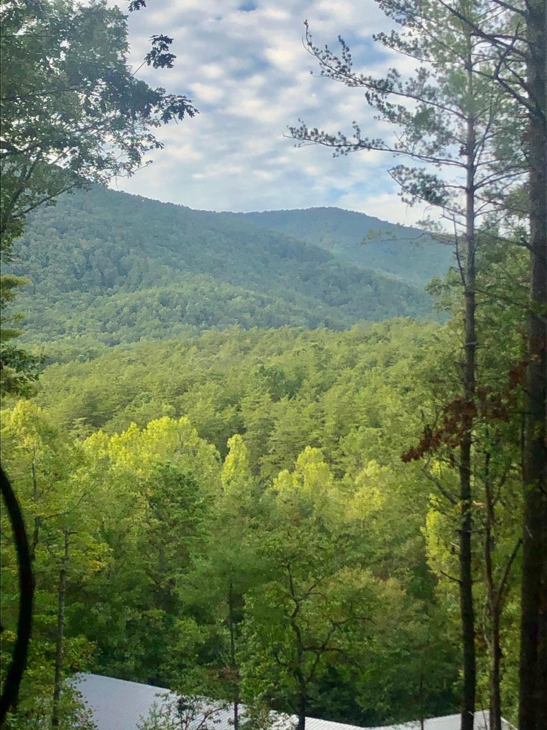 Mountain-top Cabin Get-away with Hot tub and a View view 3