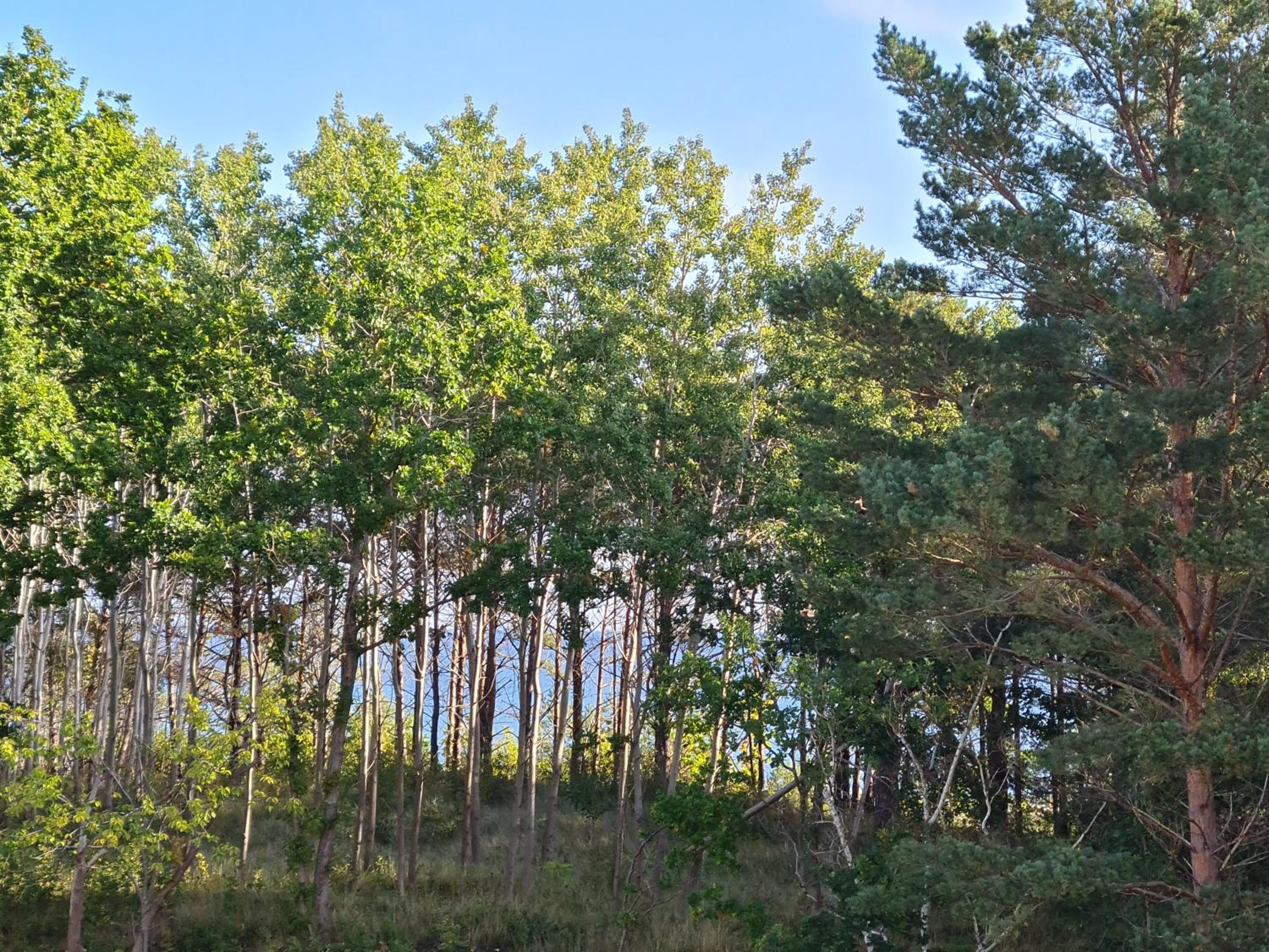 FeWo Meerblick Prora view 3