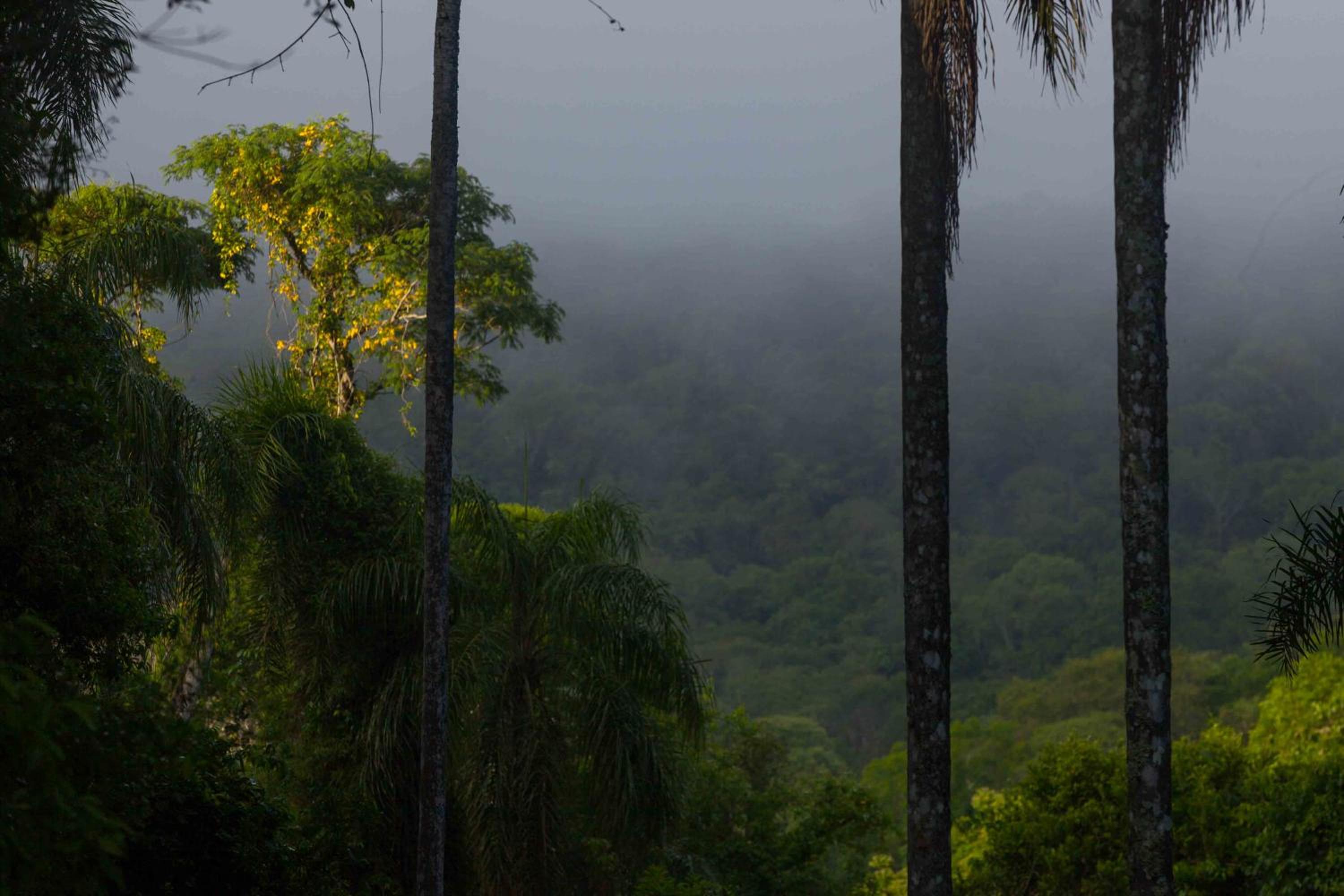 Chacra del Agua Reserva Privada
